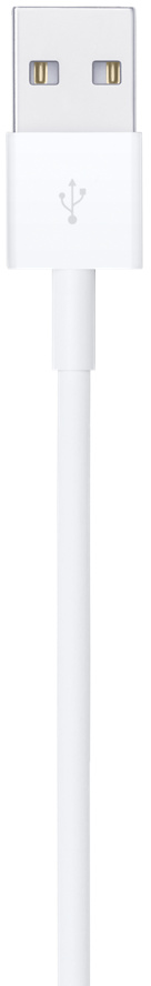Un cavo USB bianco con un connettore USB nella parte superiore.