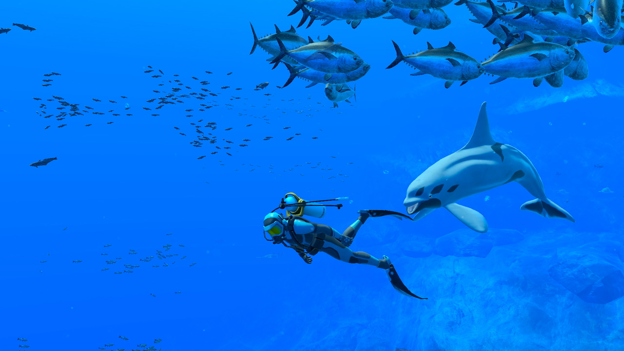 Un plongeur dans l'océan avec des dauphins et de petits poissons.