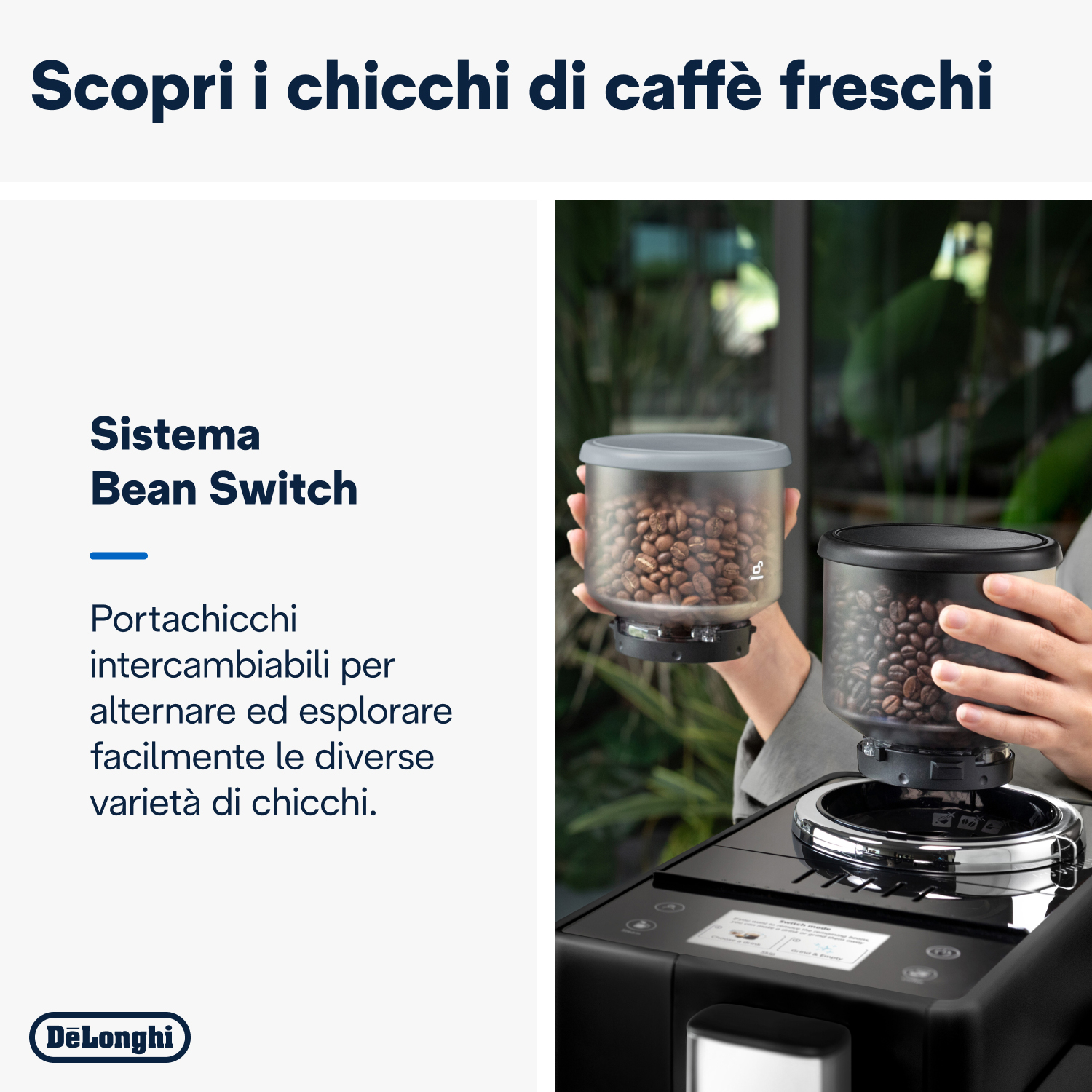 Persona che tiene un contenitore di chicchi di caffè. Il contenitore è pieno di chicchi di caffè. Bianco.