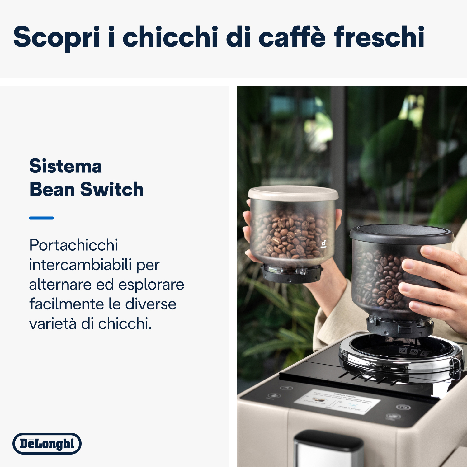 Chicchi di caffè in contenitori. Macchina da caffè con sistema di cambio chicchi.