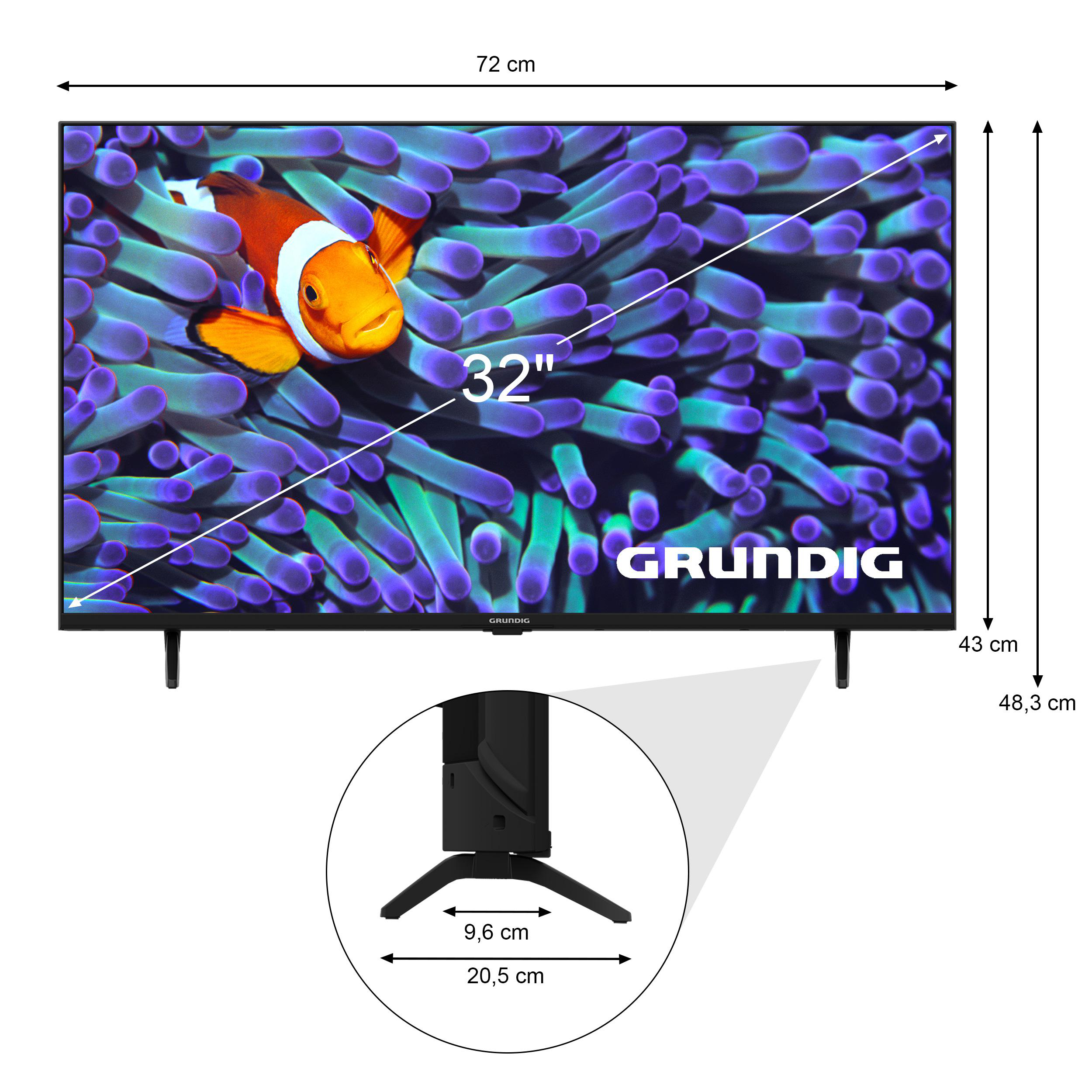 Ein 32-Zoll-Grundig-Fernseher zeigt ein Clownfisch-Bild. Abmessungen und das Grundig-Logo sind sichtbar.