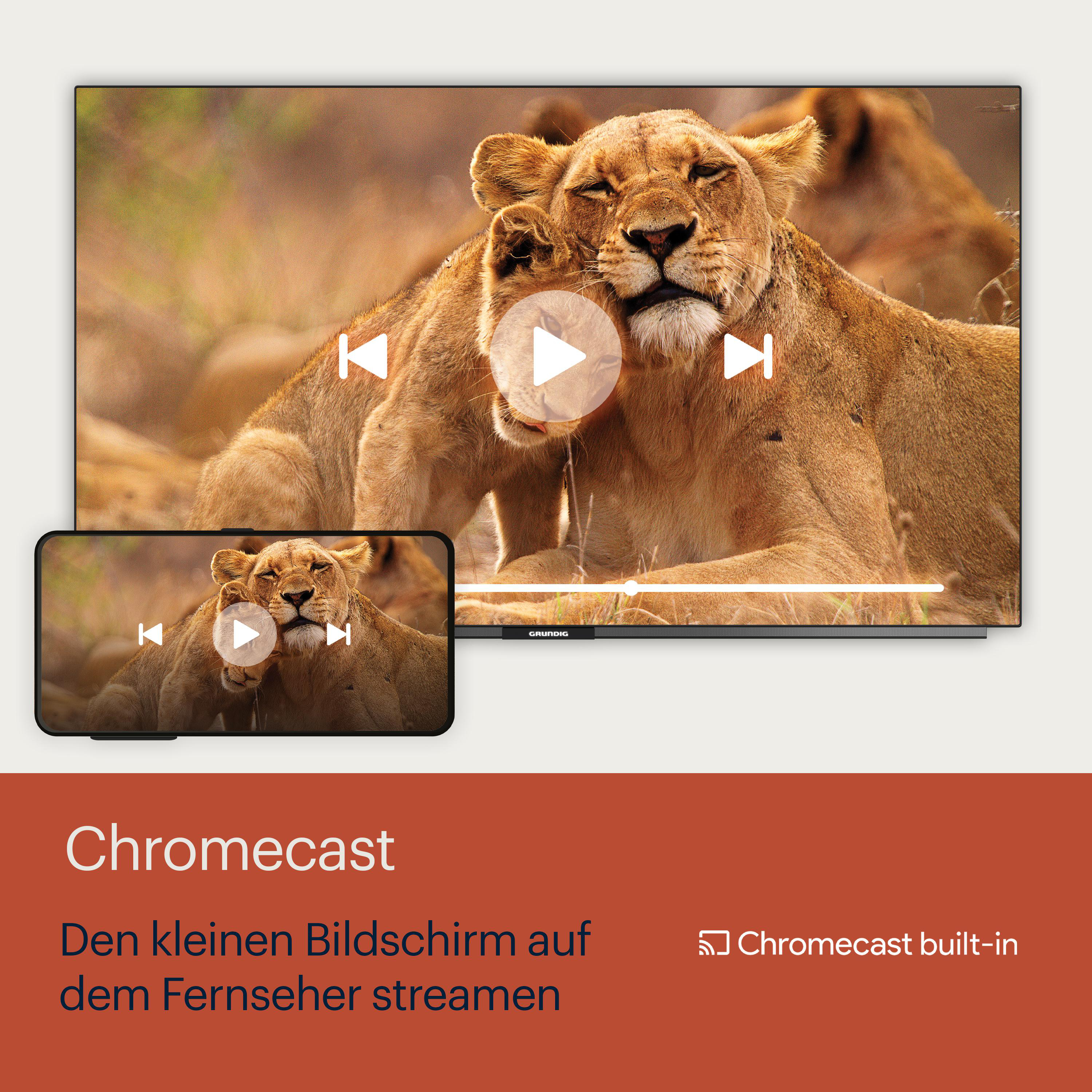 Ein Fernsehbildschirm und ein Telefon, das ein Video von Löwen zeigt.