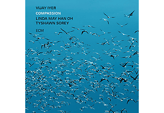 Vijay Iyer, Linda May Han Oh, Tyshawn Sorey - Compassion (Vinyl LP (nagylemez))