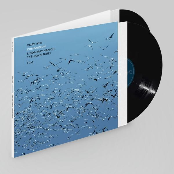 Album borító kék égbolttal, madarakkal és két bakelit lemezzel.