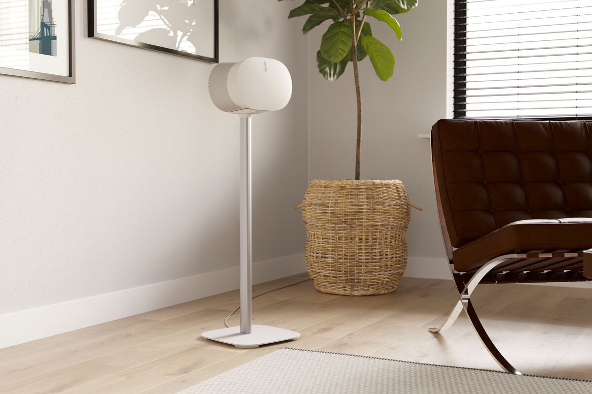 Un altavoz blanco sobre un soporte en una habitación. Hay una planta, una silla marrón y una pared blanca.