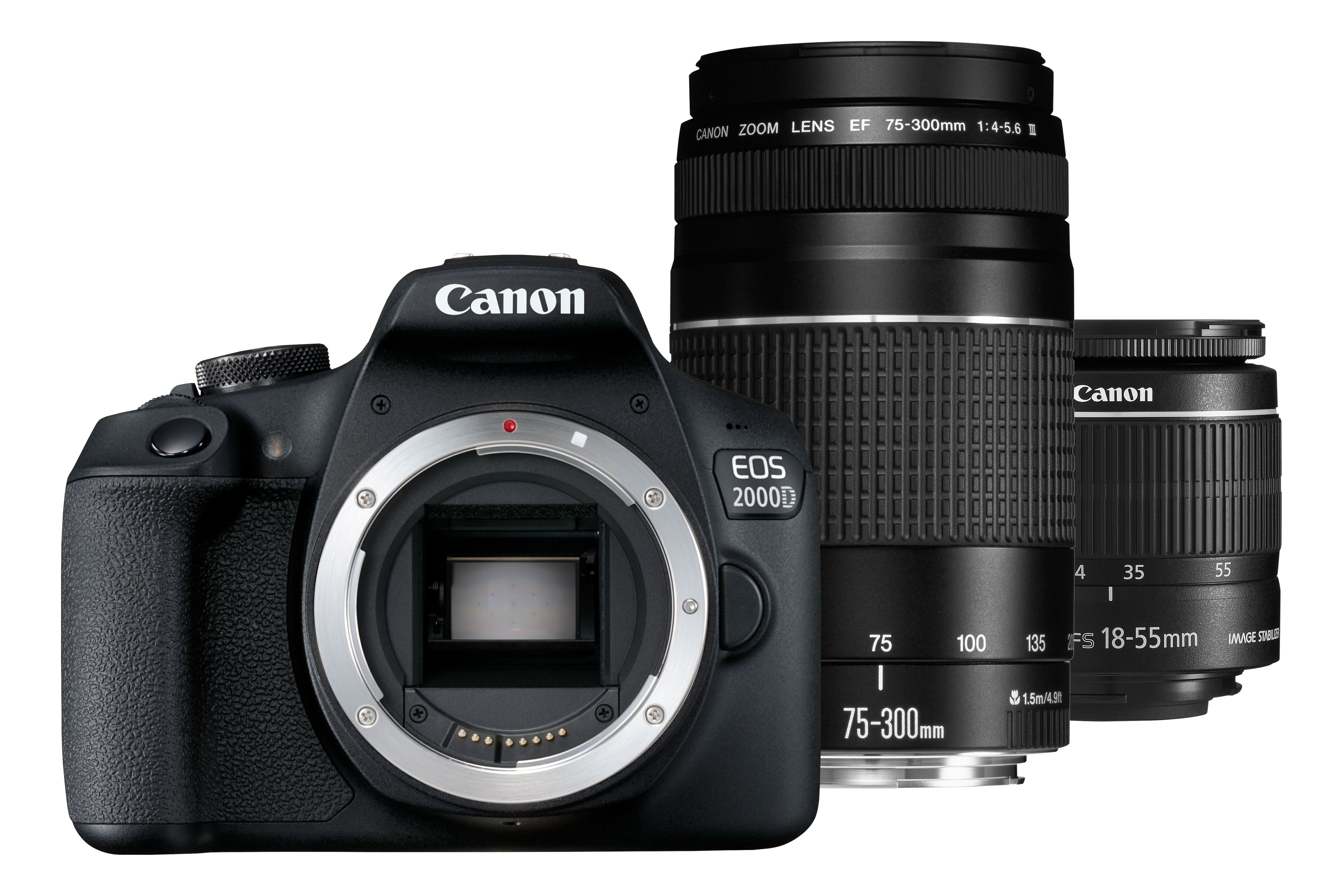 Fotocamera Canon EOS 2000D con due obiettivi. Fotocamera nera con un obiettivo e un altro obiettivo a destra.