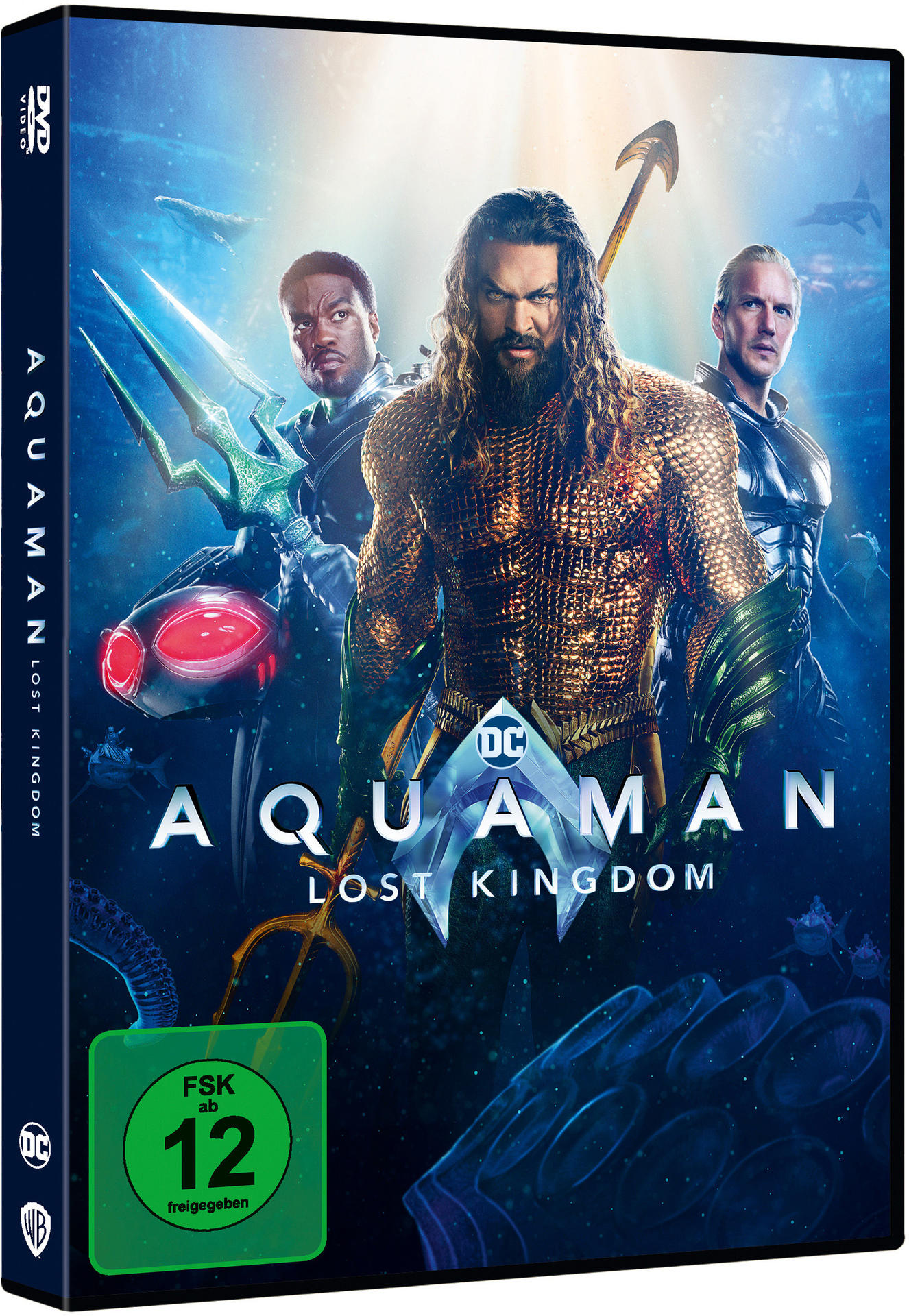 DVD-Hülle mit Aquaman-Filmcover, FSK-Kennzeichnung.