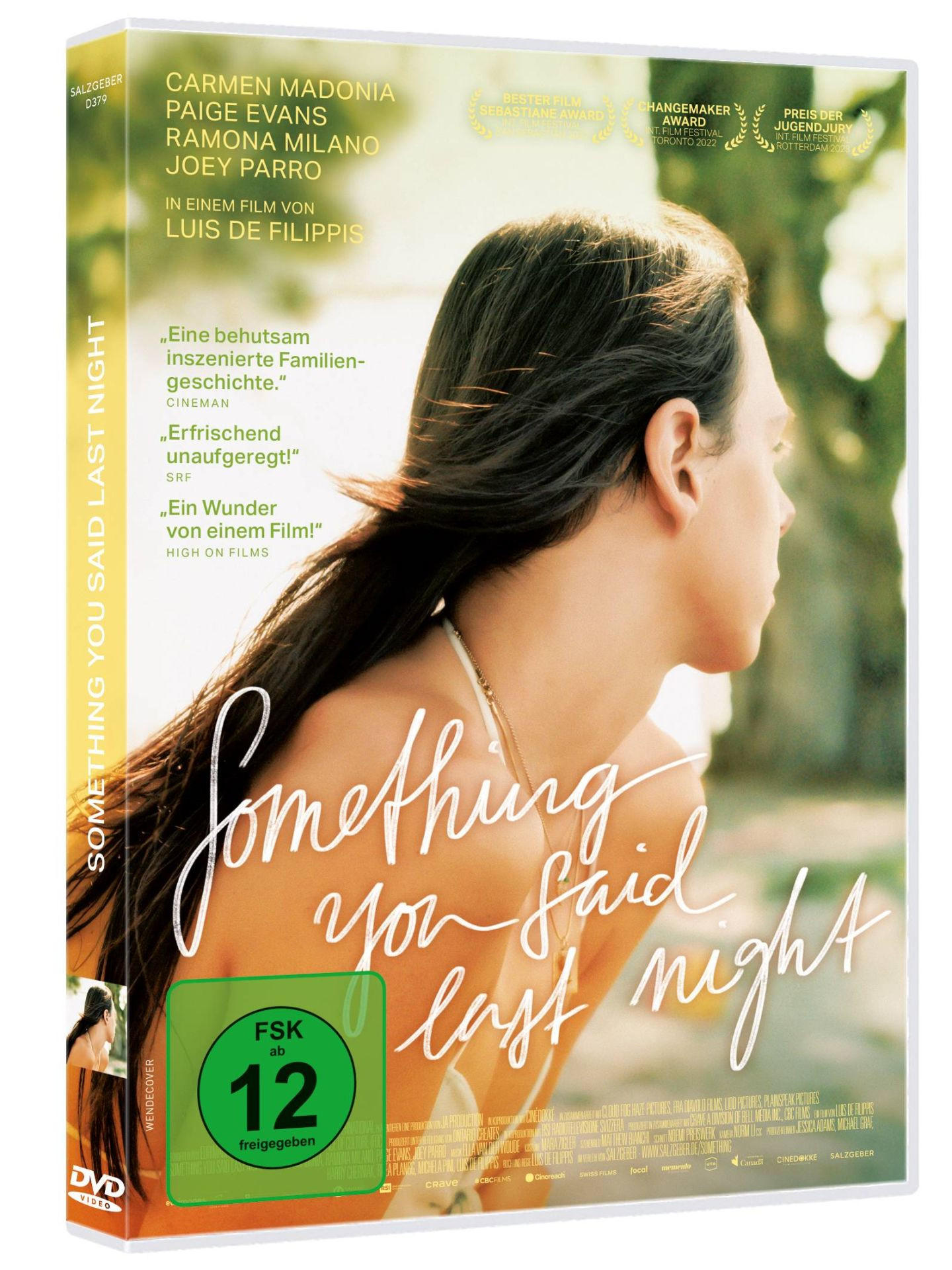 DVD-Cover des Films Something You Said Last Night. Eine Person mit langen Haaren.