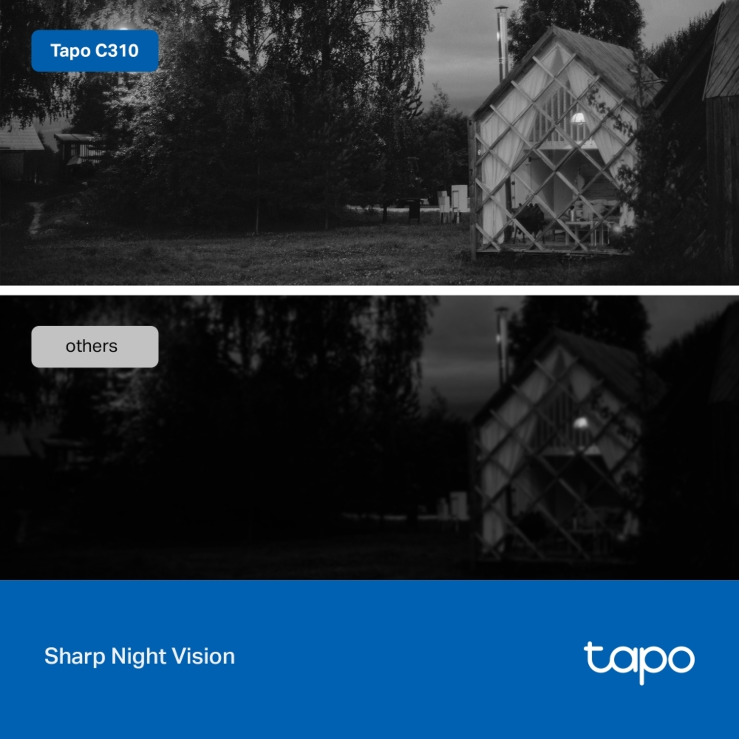 Night vision cameras in a yard, showing a house with the 'Tapo C310' label in the top left.