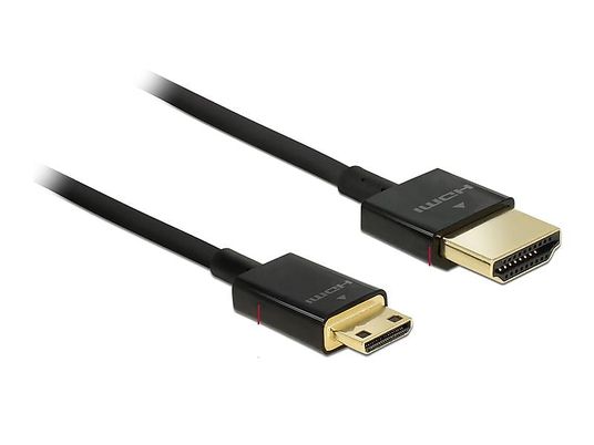 DELOCK DP2VGAMM10B - Câble de connexion (Noir)
