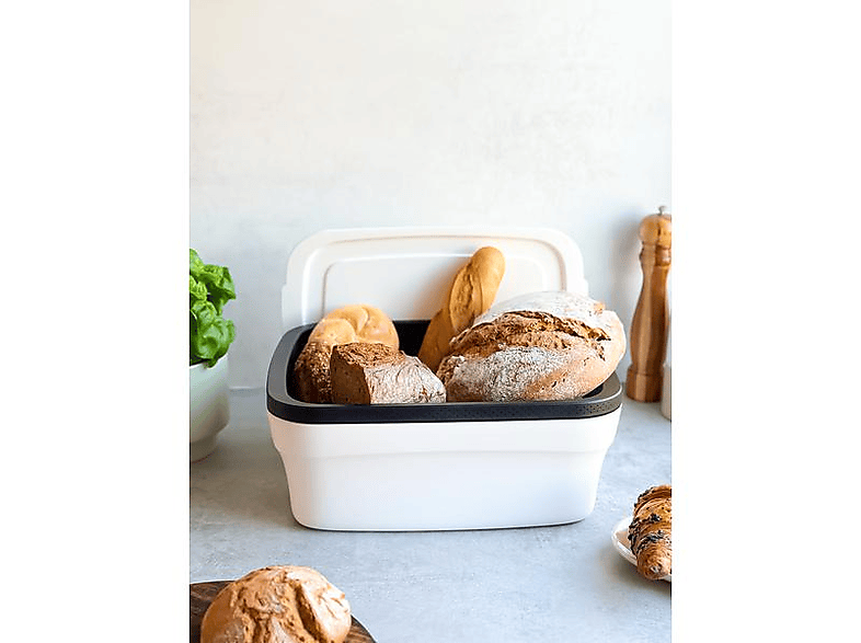 Tupperware B04 Stampo Per Ghiaccio - 2 Vaschette, Colore Bianco E Porpora, Originali Tupperware