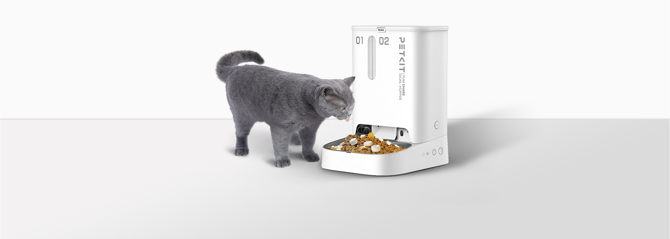Beyaz bir evcil hayvan besleyicisinden yemek yiyen gri bir kedi. Besleyici, beyaz bir yüzey üzerinde yanında.