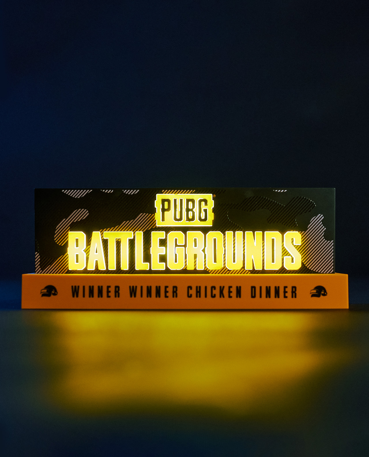 PUBG Battlegrounds Schild mit beleuchtetem Text auf dunklem Hintergrund.