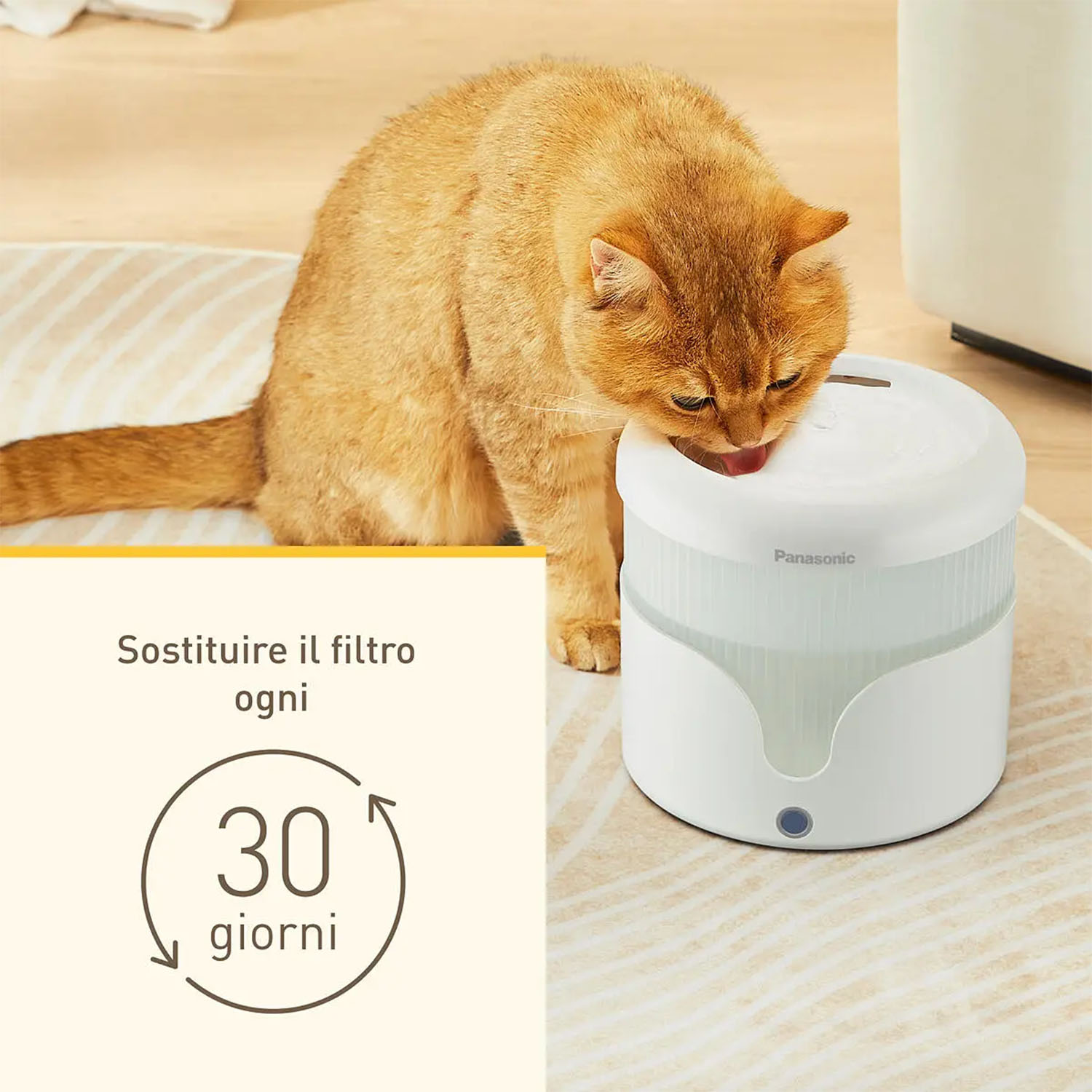 Un gatto arancione beve acqua da una fontana bianca. Il testo dice di cambiare il filtro.