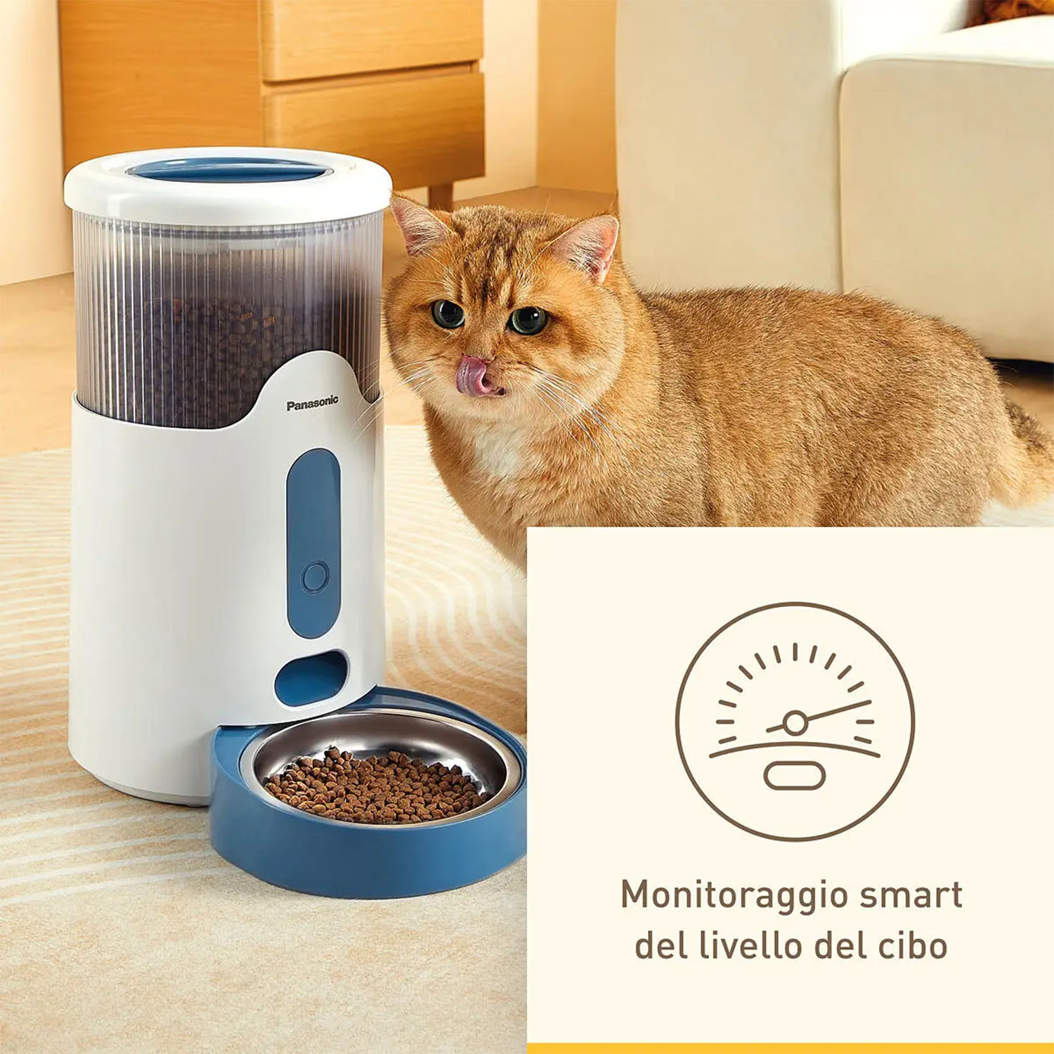 Un gatto si lecca le labbra accanto a un distributore di cibo per animali domestici bianco e blu.