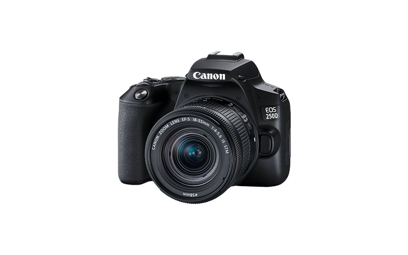 CANON EOS 250D Spiegelreflexkamera mit Objektiv EF-S 18-55mm 4.0-5.6 IS STM, schwarz (3454C002)