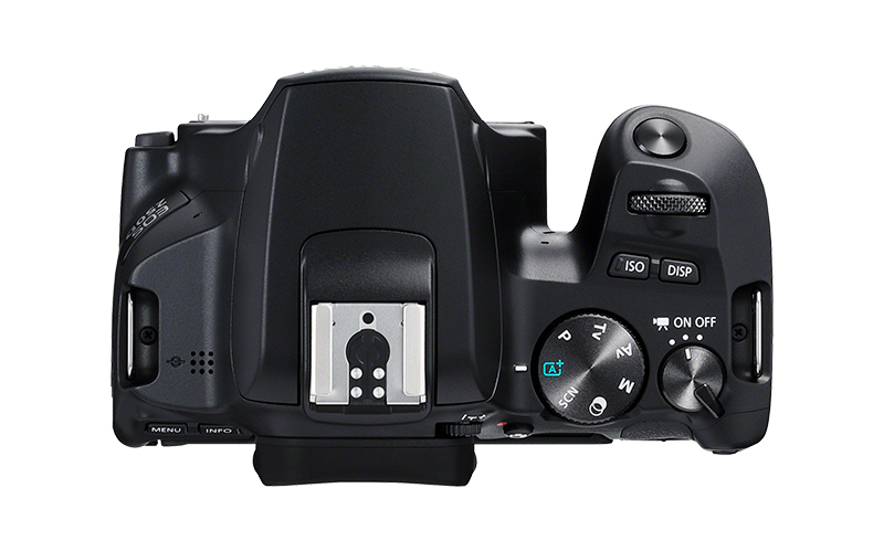 CANON EOS 250D Spiegelreflexkamera mit Objektiv EF-S 18-55mm 4.0-5.6 IS STM, schwarz (3454C002)