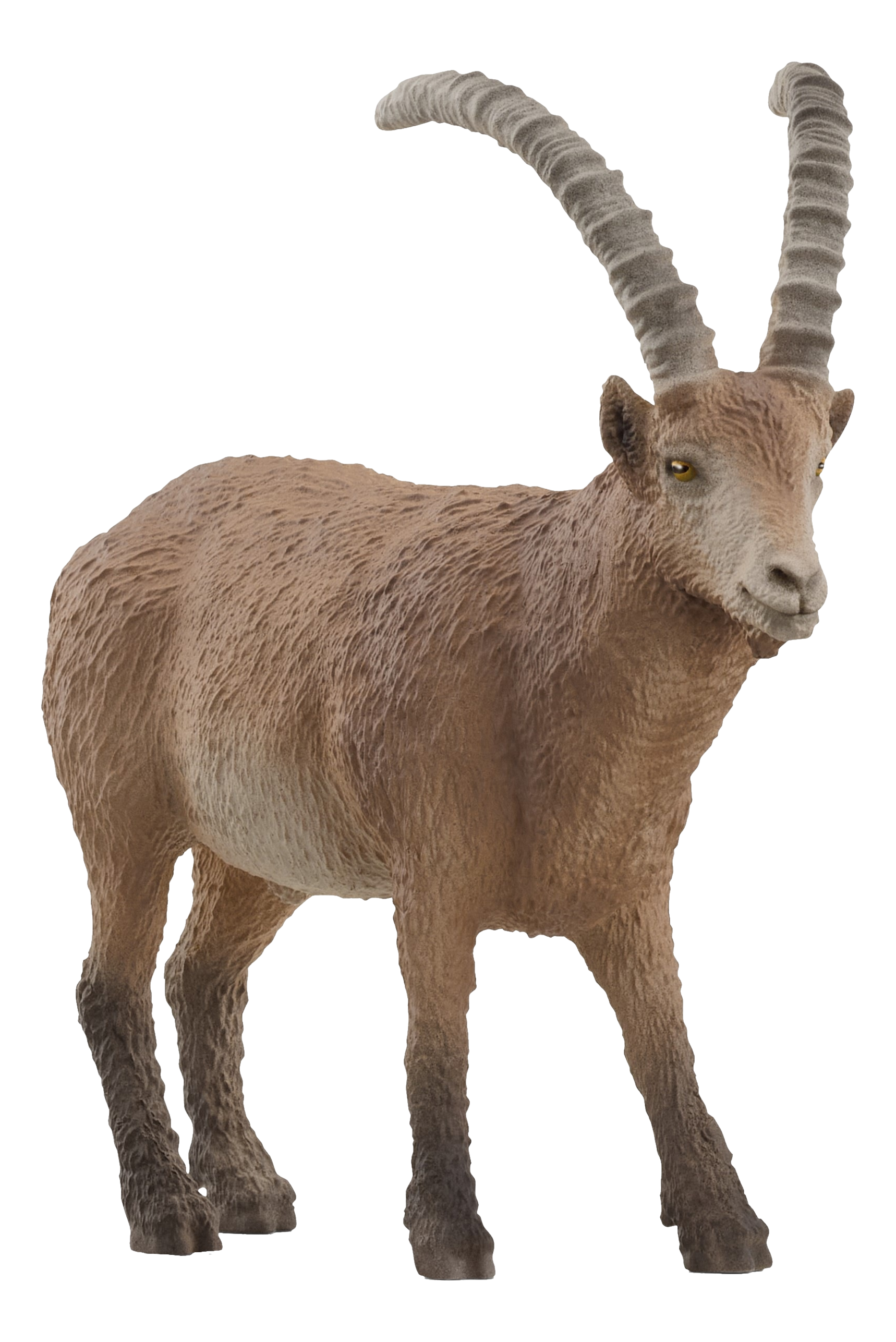 Ein Steinbock-Spielzeug. Der Steinbock ist braun mit großen, gebogenen Hörnern, auf schwarzem Grund.