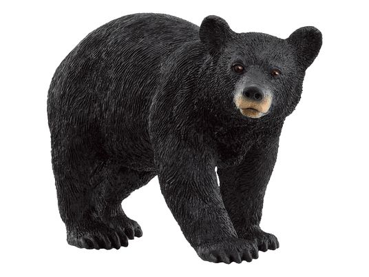SCHLEICH Wild Life: Amerikanischer Schwarzbär - Spielfigur (Schwarz)