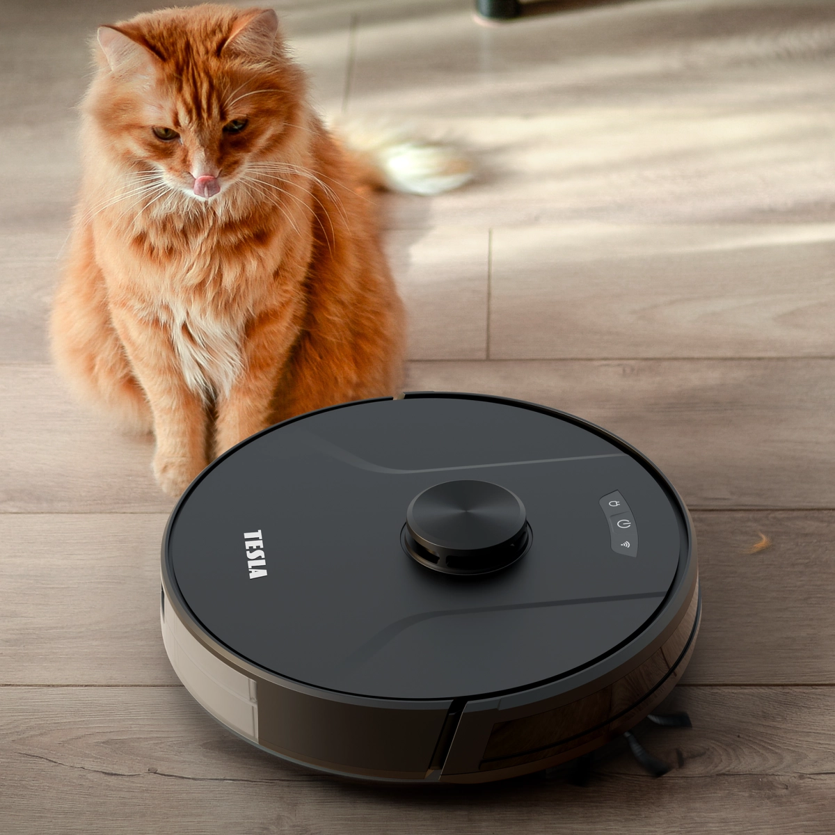 Egy Tesla robot porszívó egy fa padlón, egy narancssárga macskával a közelben.