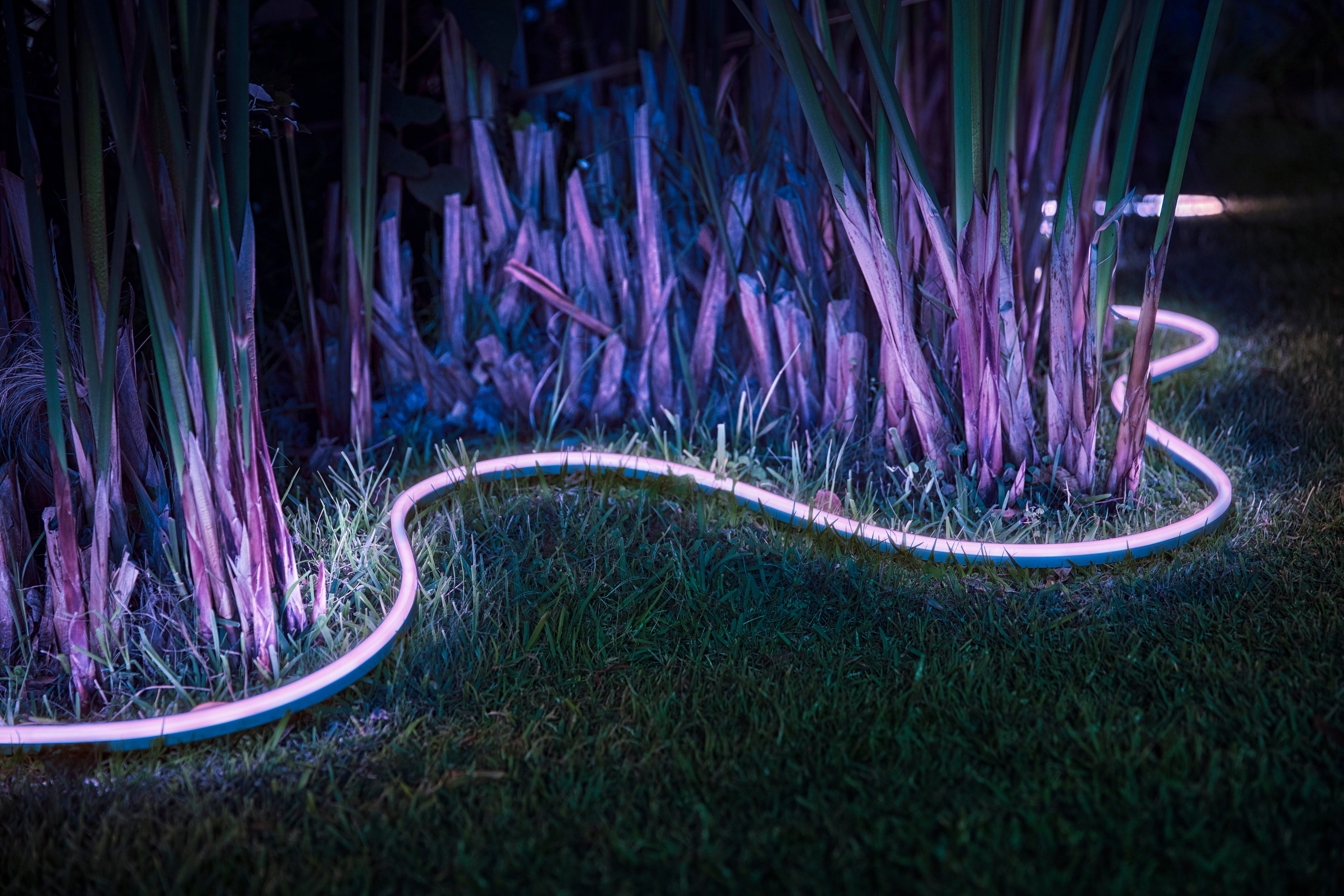 Neon-Seil-Licht auf Gras, rosa leuchtend, mit Pflanzen im Hintergrund.