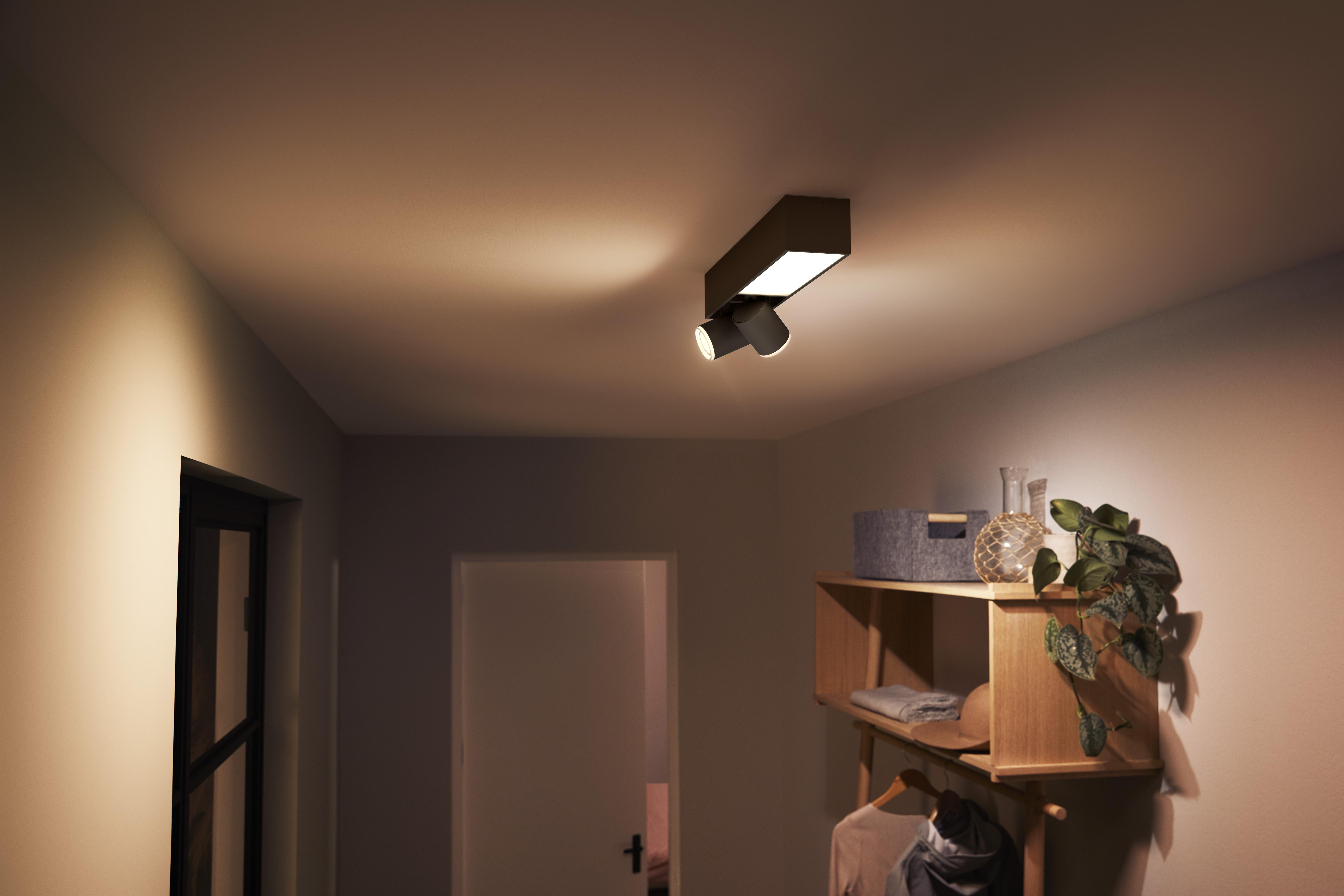 Eine Deckenlampe mit Spot und ein Regal mit Dekorationen. Eine Tür und eine Wand sind sichtbar.