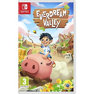Nintendo Switch Everdream Valley