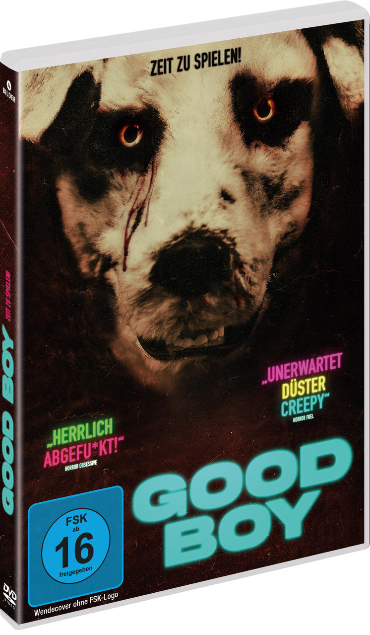 DVD-Hülle: Nahaufnahme eines gruseligen Hundes. Titel ist GOOD BOY. Deutscher Text, Altersfreigabe.