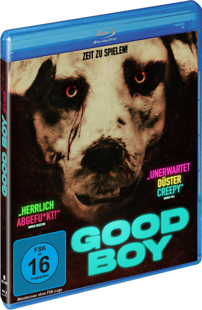 Blu-ray-Disc des Films 'Good Boy' mit dem Gesicht eines Hundes.