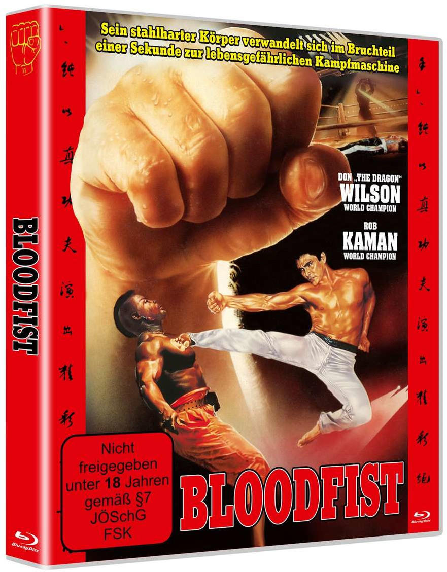 DVD-Cover von Bloodfist, einem Film. Eine Faust schlägt einen Mann. Zwei Männer kämpfen rechts.