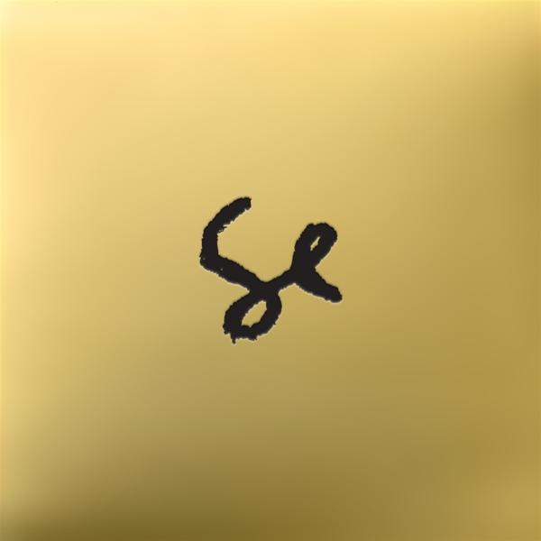 Goldener Hintergrund mit einem schwarzen, stilisierten 'se'-Symbol in der Mitte.