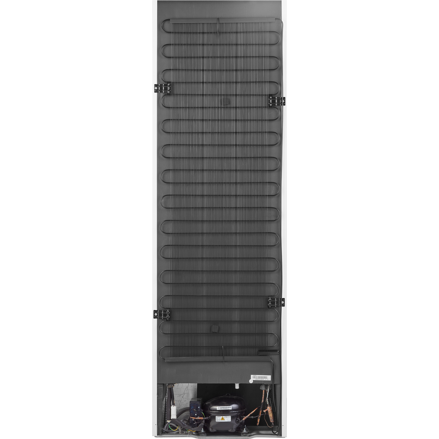 Back of a white refrigerator, showing cooling coils and compressor.