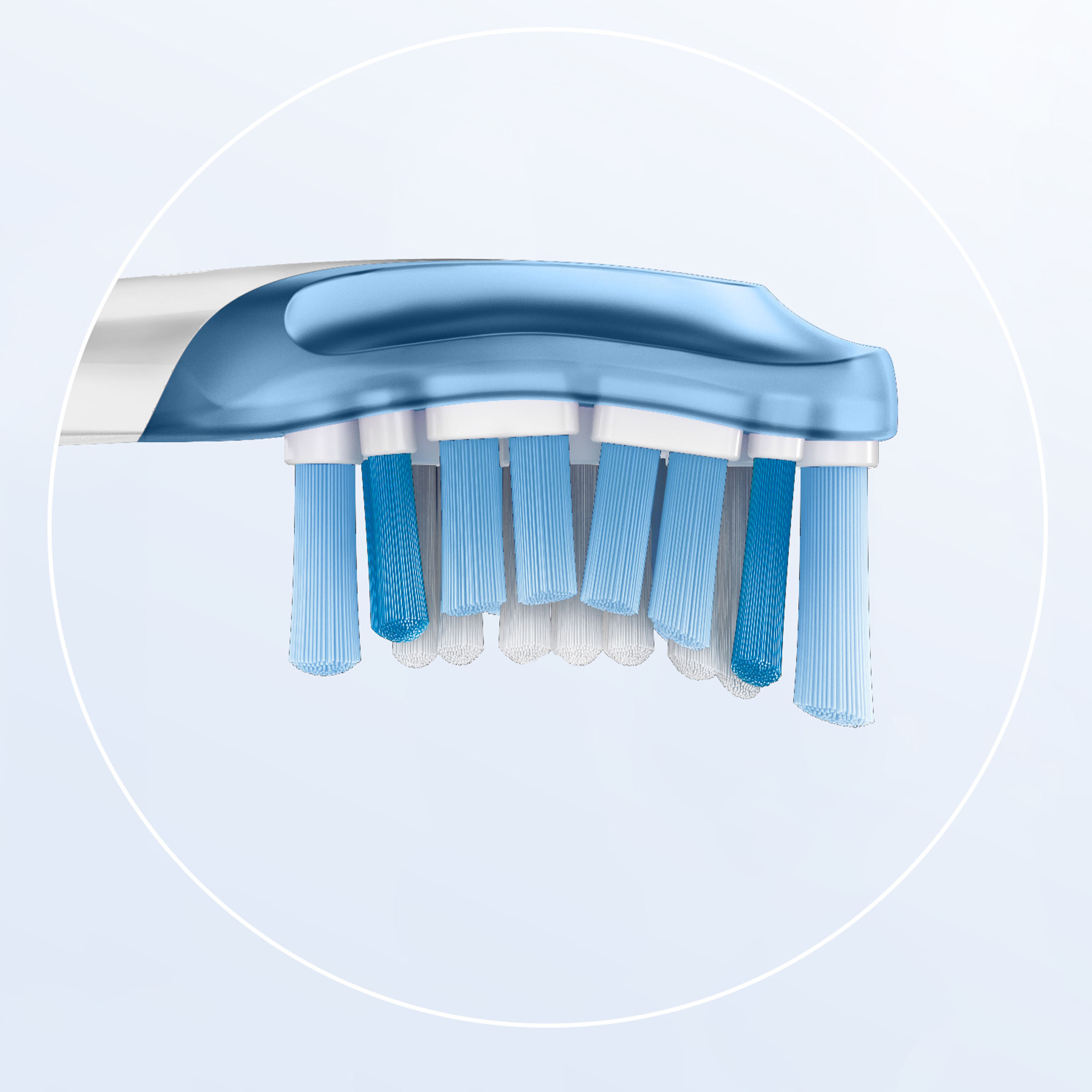 Zbliżenie niebiesko-białej główki szczoteczki do zębów z włosiem.