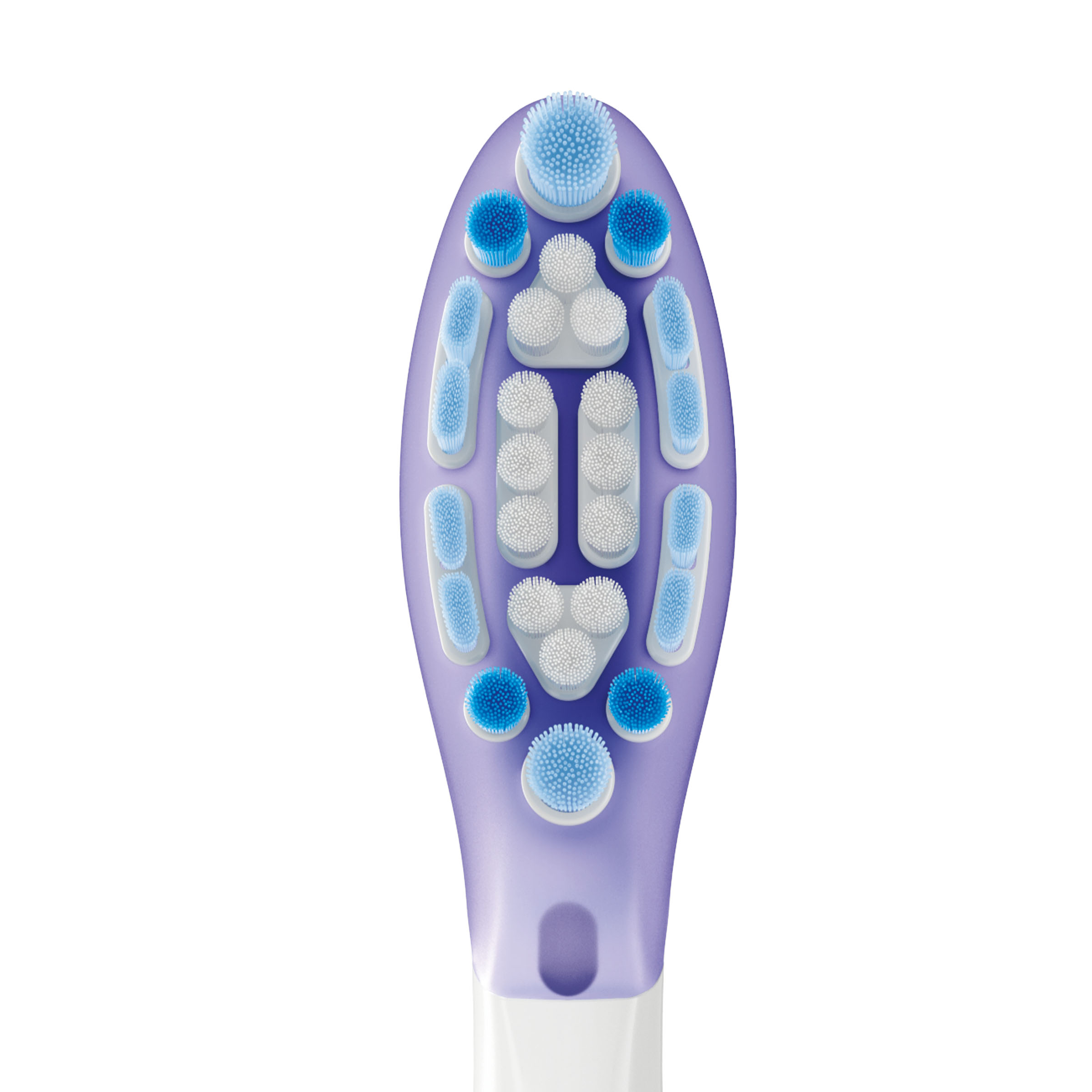 Główka fioletowej szczoteczki do zębów z niebieskim i białym włosiem jest widoczna z bliska.