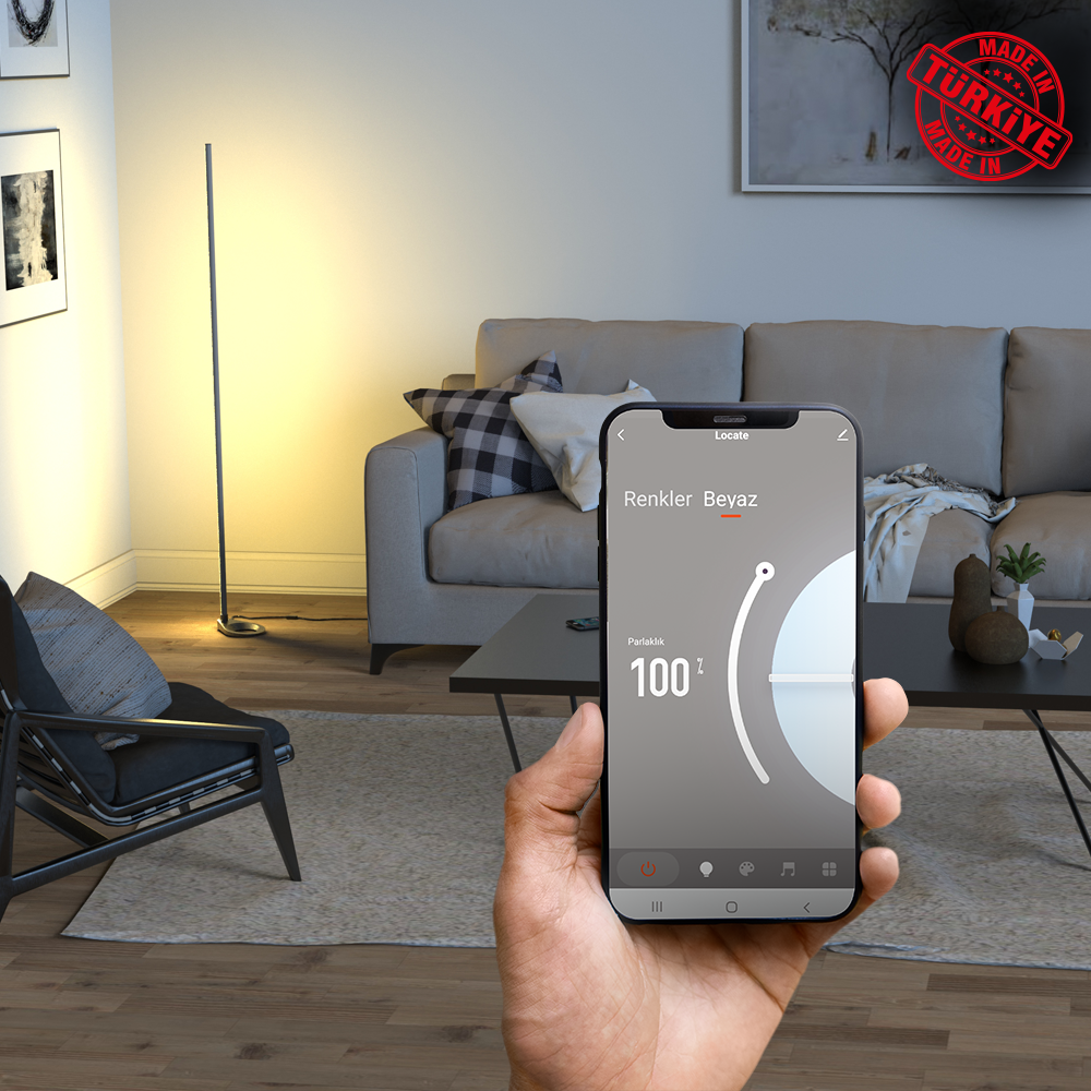 Akıllı ev uygulaması gösteren telefon tutan el. Kanepe, sanat eseri, lamba ile oda.