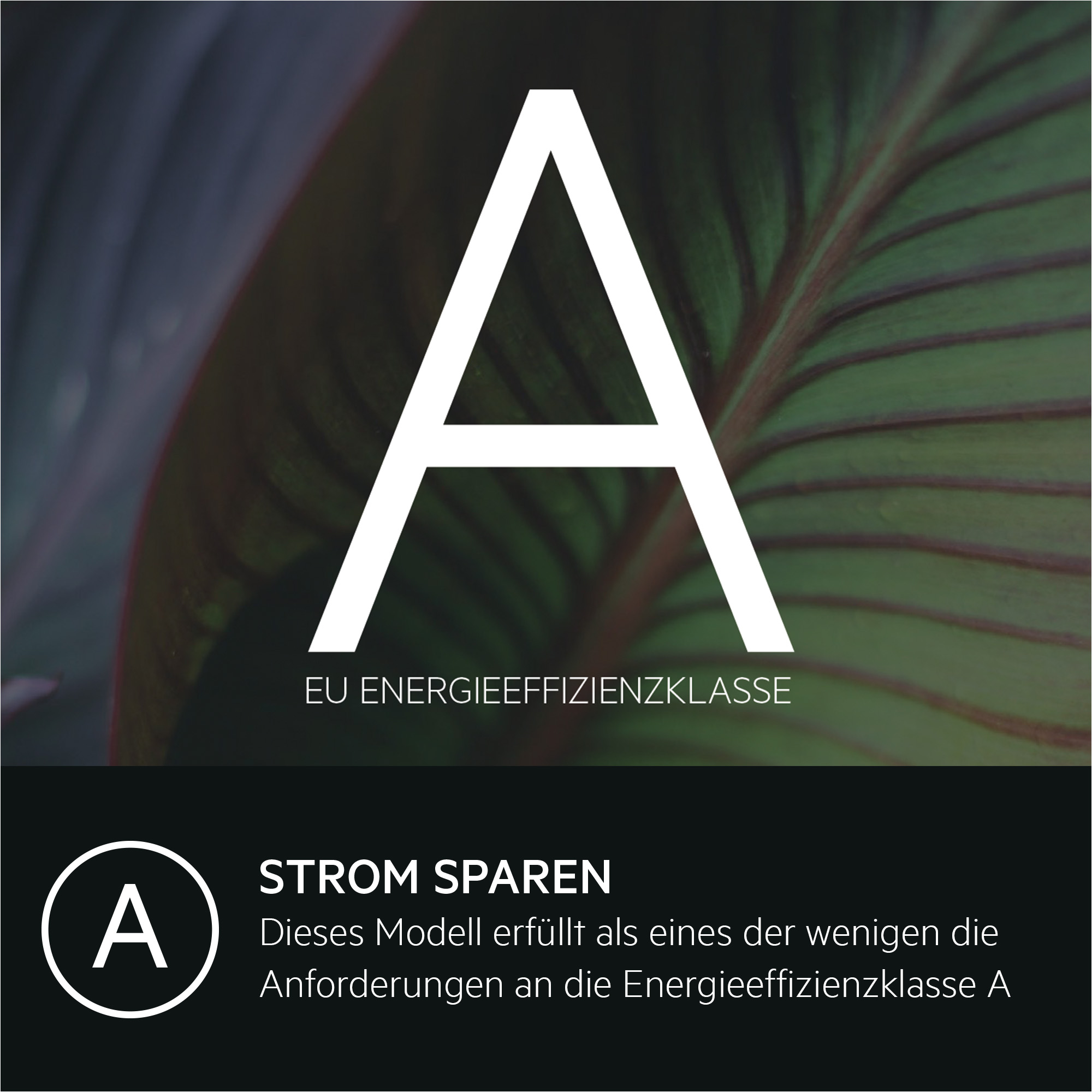 Grüner Blatt-Hintergrund mit großem weißen Buchstaben A. Darunter Text zur Energieeffizienz.