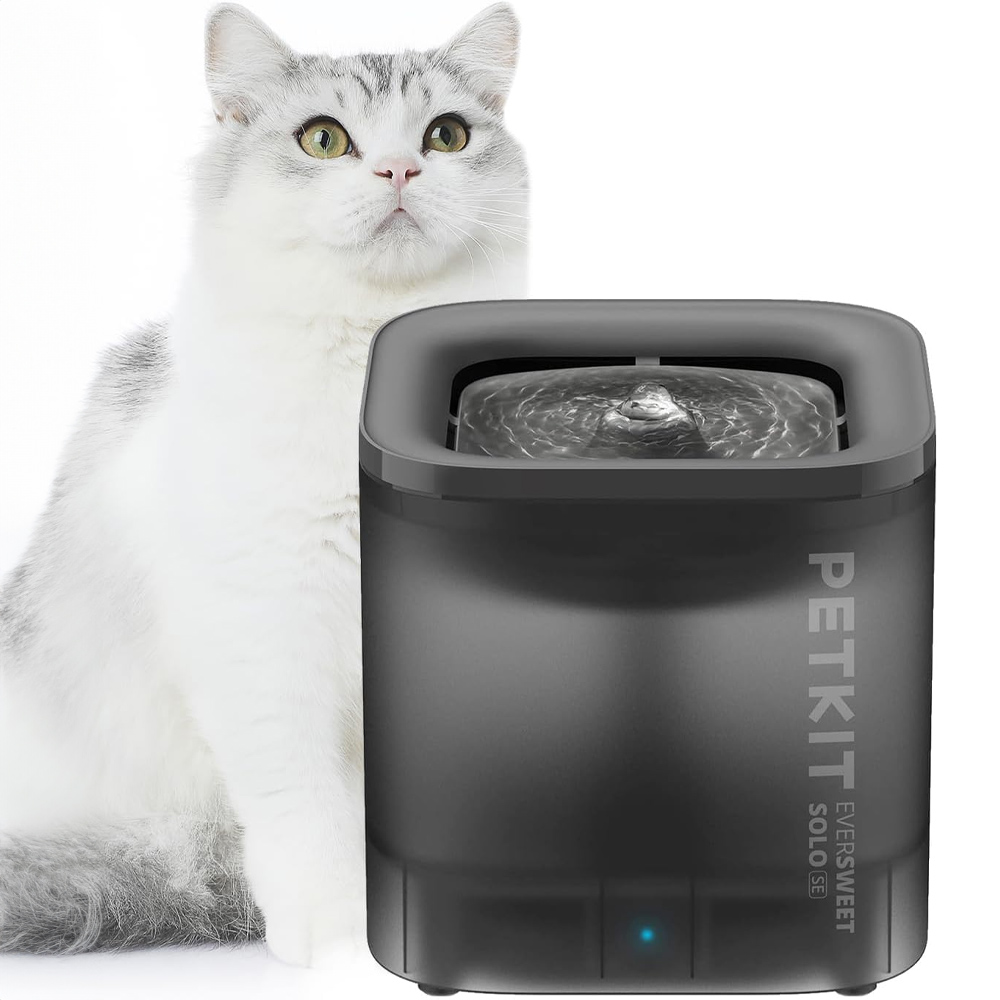 Siyah Petkit Eversweet Solo SE su çeşmesinin yanında kedi.
