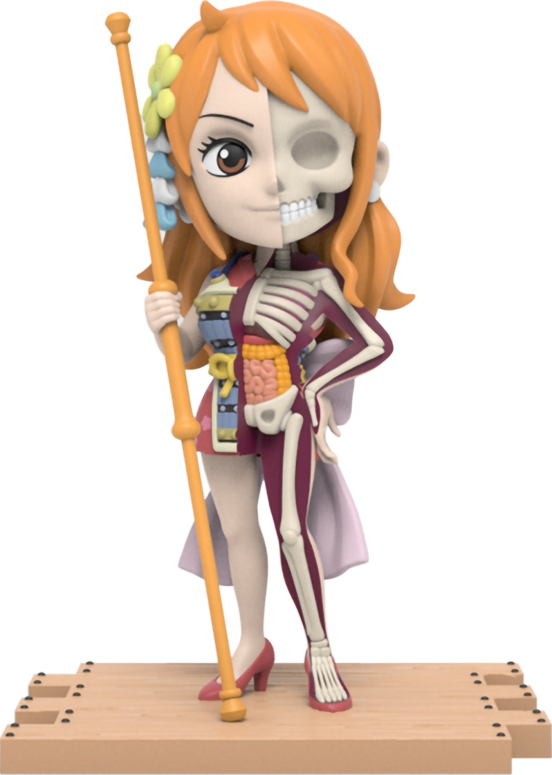 Anatomiefigur eines Cartoon-Mädchens. Die Hälfte ihres Körpers ist sichtbar, die andere Hälfte zeigt Skelett und Organe.