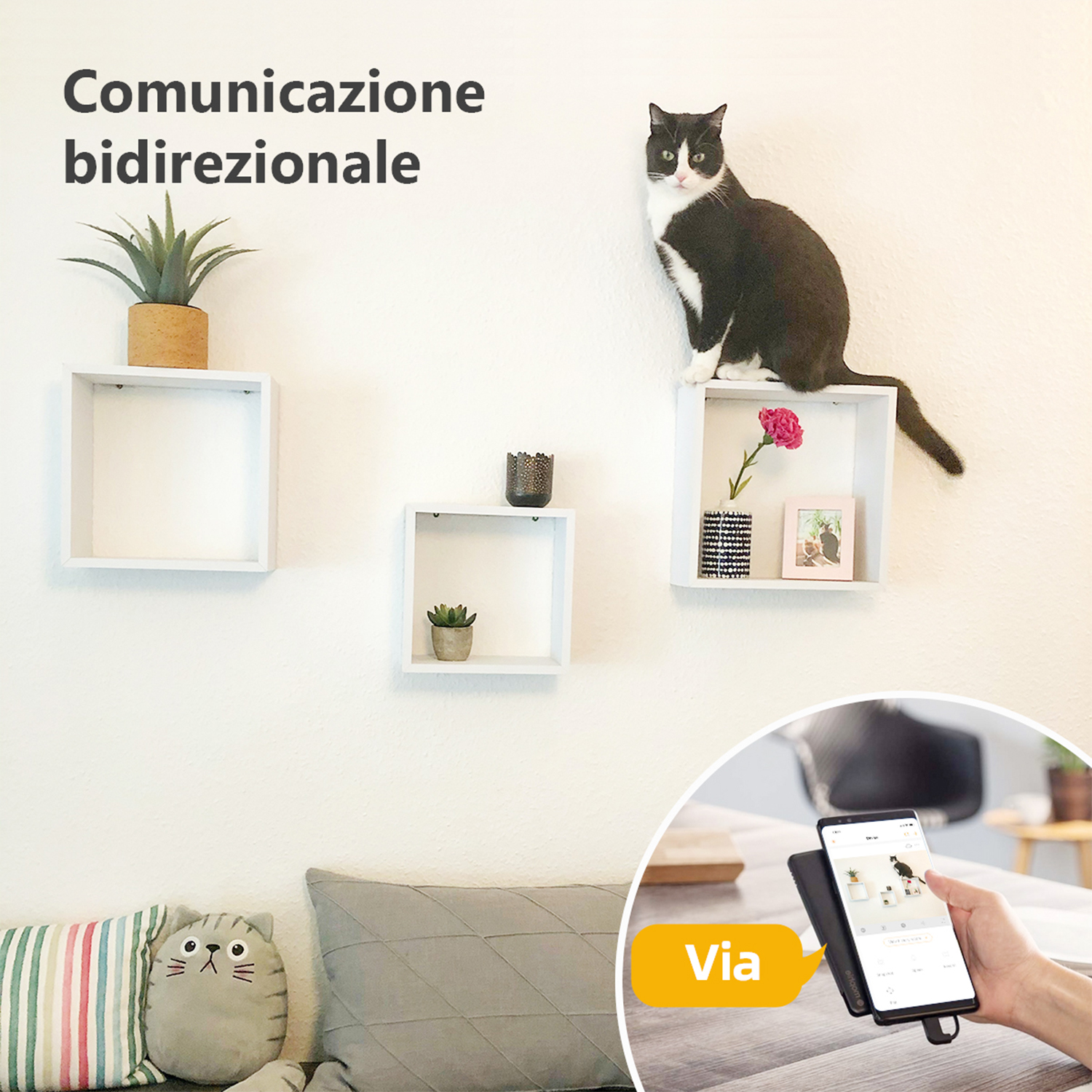 Gatto sugli scaffali, telefono che mostra un gatto, viene visualizzato il testo "Comunicazione bidirezionale".