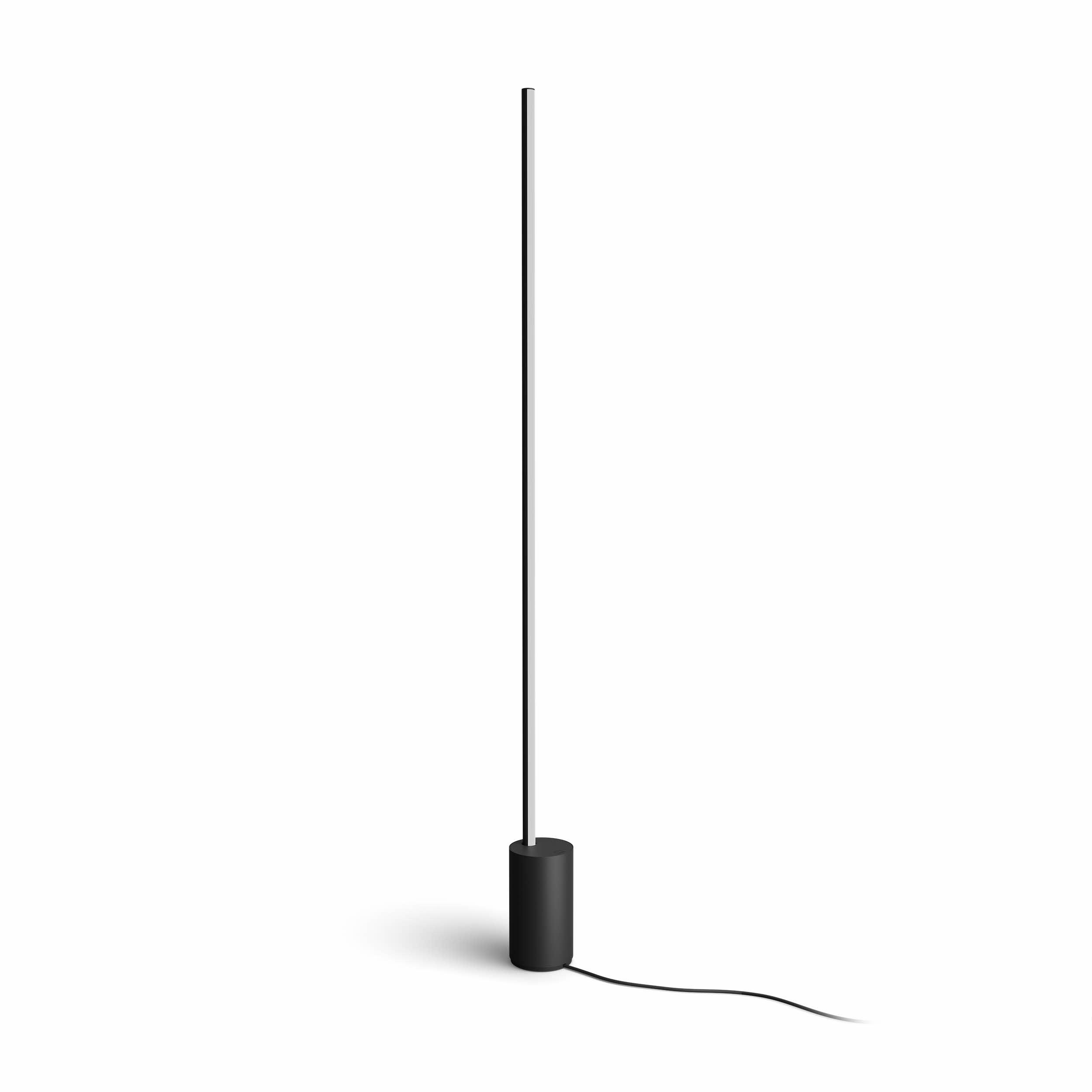 Eine hohe, schwarze, minimalistische Stehleuchte mit zylindrischem Sockel und geradem Stab.