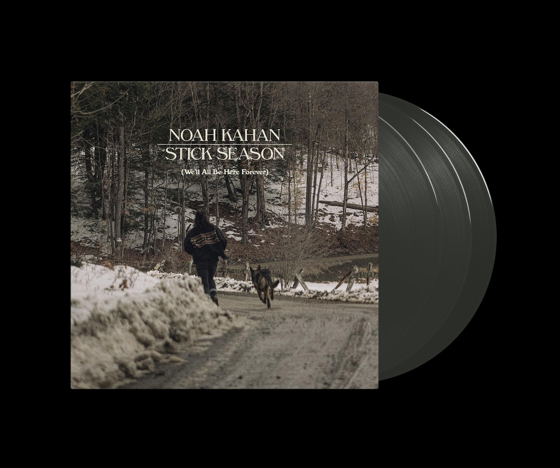 Vinyl-Schallplatten-Albumcover mit einer Person, die einen Hund auf einer verschneiten Straße führt.