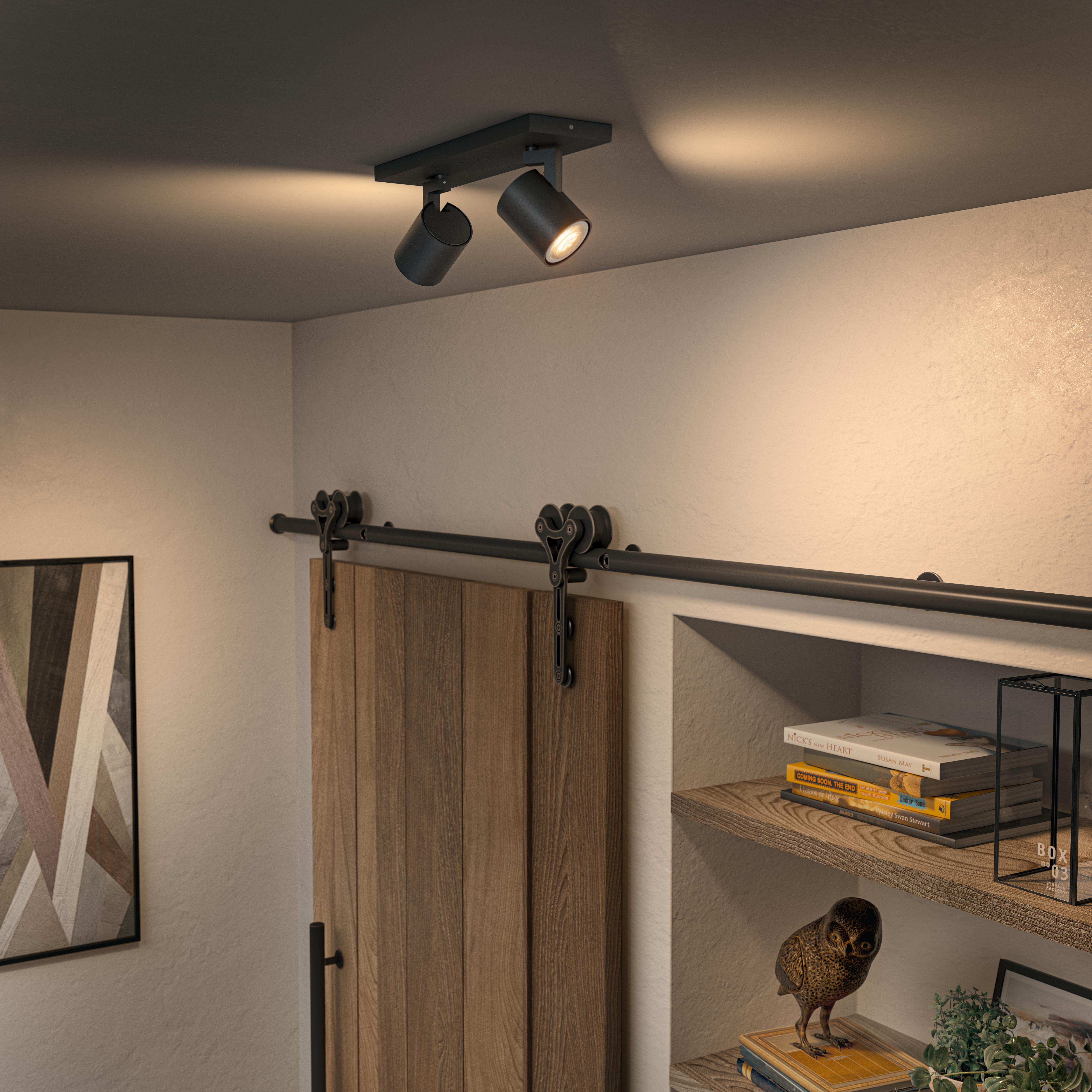 Zwei Strahler an der Decke beleuchten eine Holztür und Regale mit Büchern und einer dekorativen Eule.