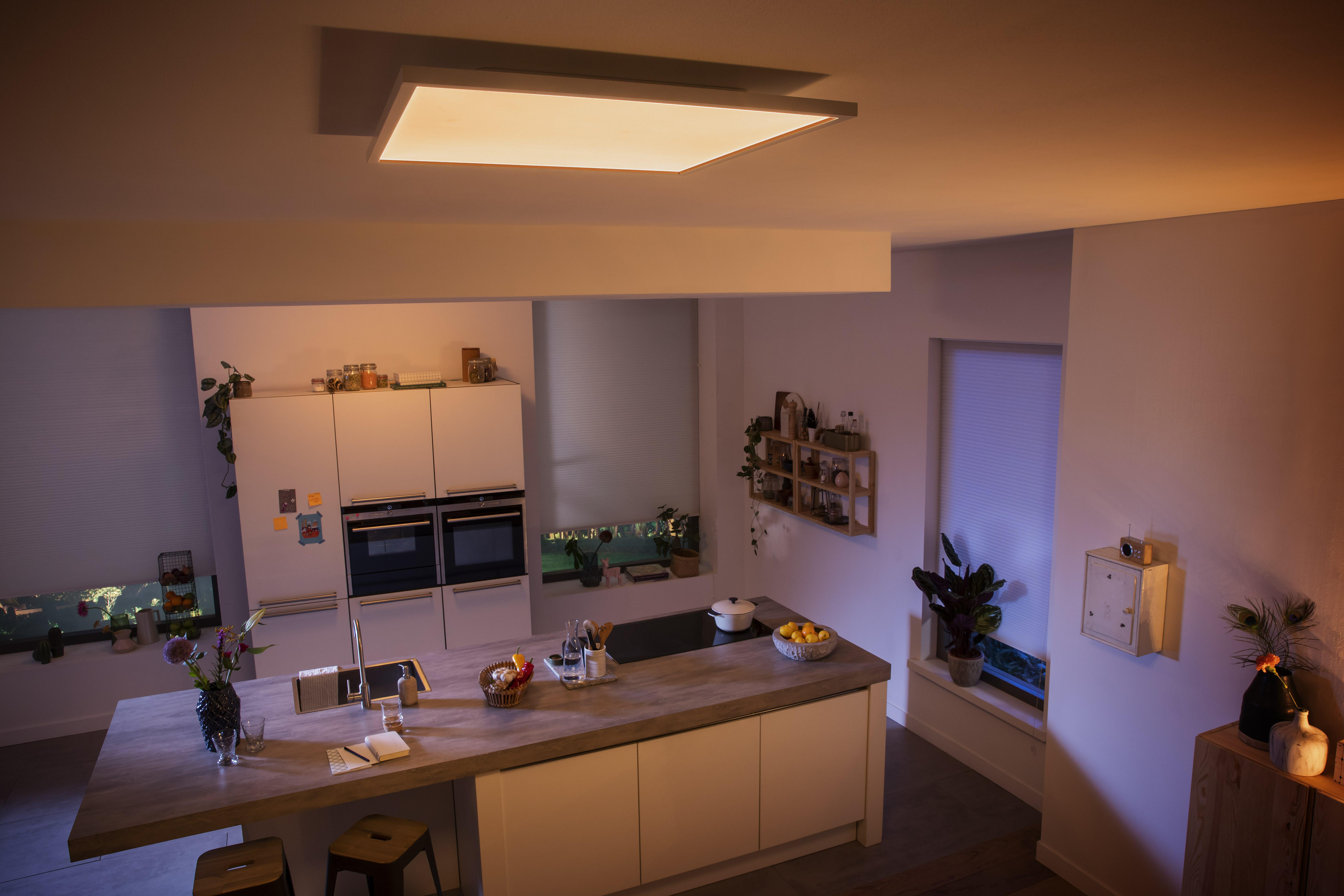 Eine moderne Küche mit großer Insel. An der Decke eine große Leuchte und Pflanzen.