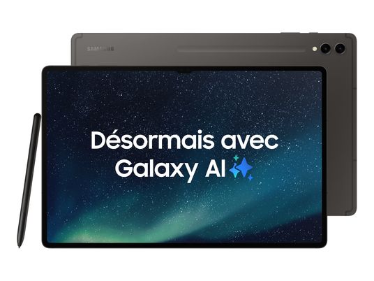 SAMSUNG Galaxy Tab S9 Ultra Wi-Fi - tablette (14.6 ", 256 GB, Graphite)