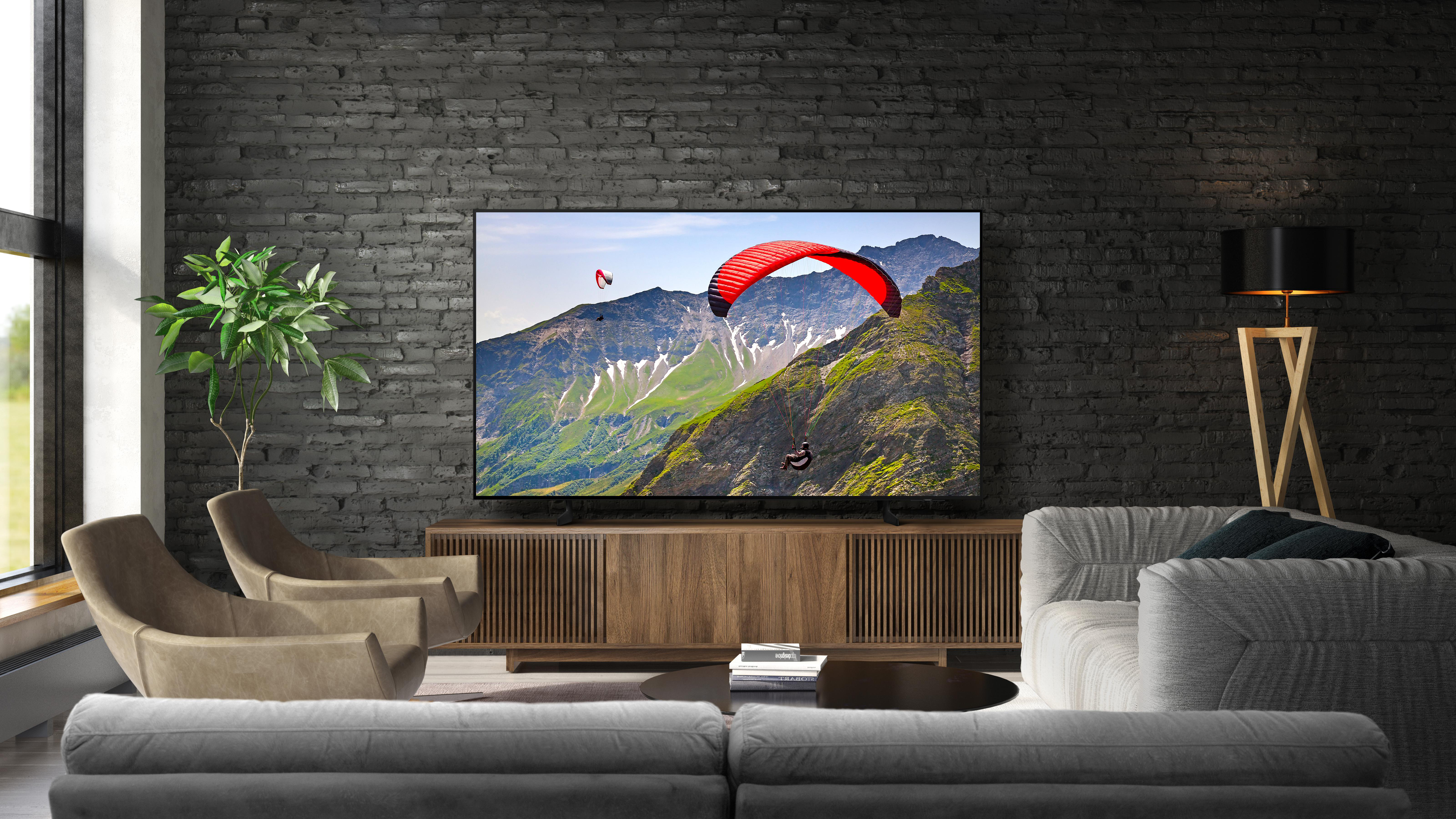 Wohnzimmer mit TV, Bergen und Gleitschirmen, Möbeln und einer Pflanze.