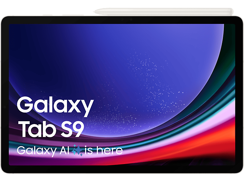 Samsung Galaxy Tab S9 256 Gb 11