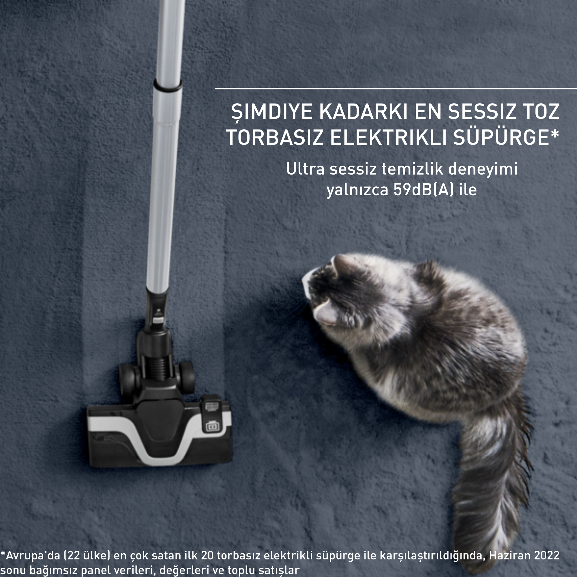 Halı üzerinde bir kediyle birlikte bir elektrikli süpürge, sessiz çalışmasını vurguluyor.