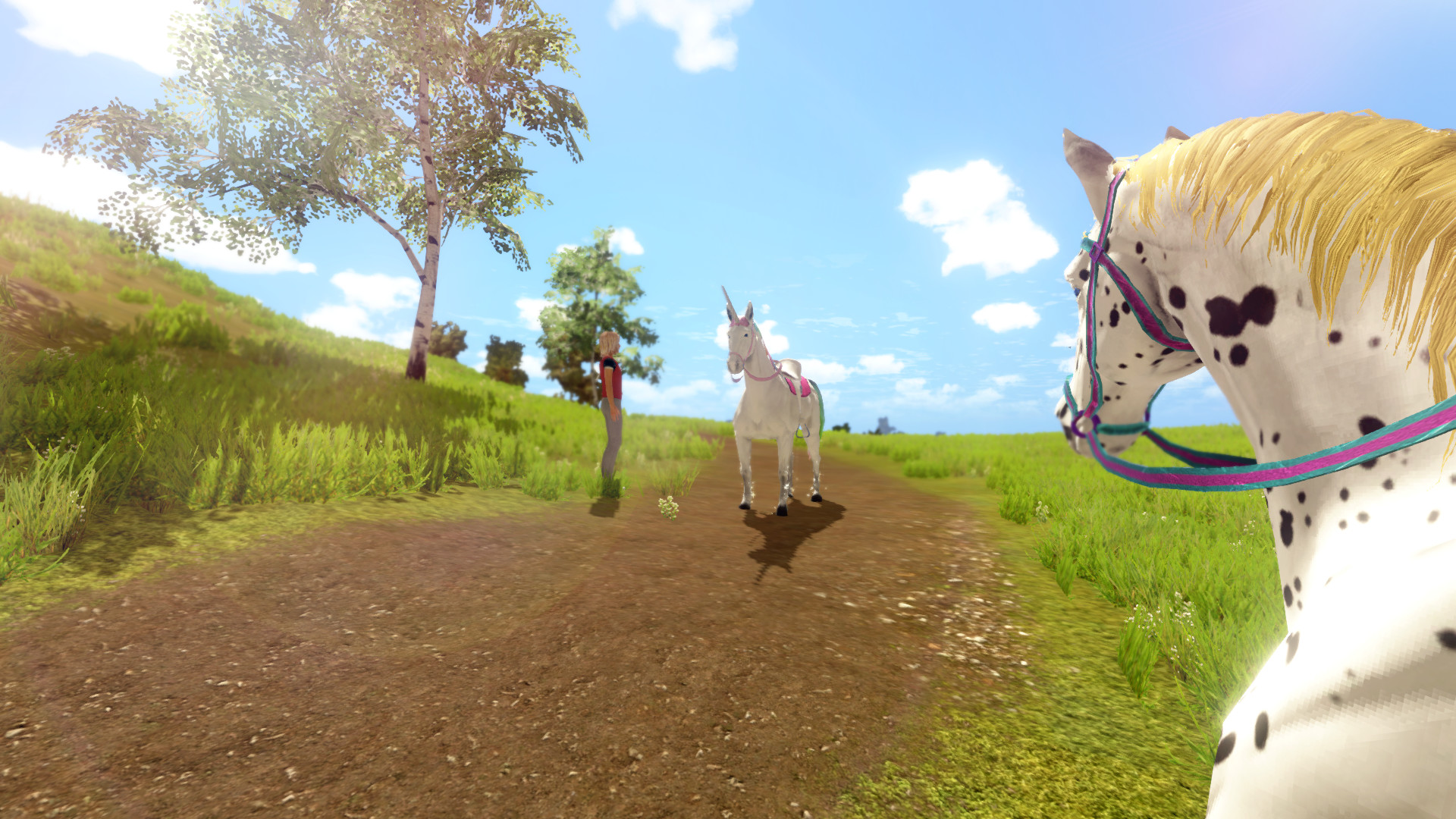 Una persona incontra un unicorno su un sentiero in un campo con alberi e cielo.