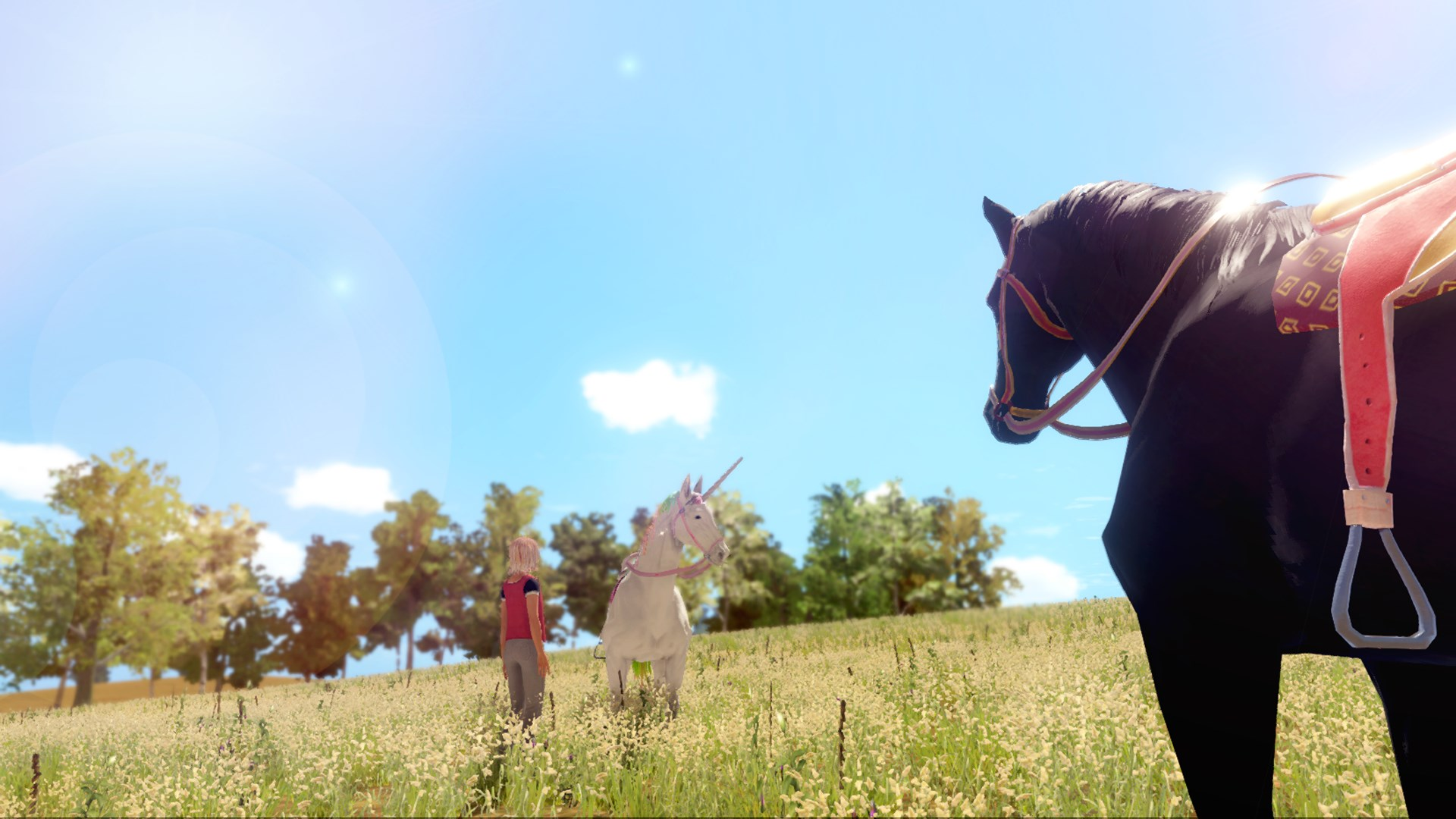 Una persona e un unicorno stanno in un campo soleggiato. Un cavallo nero è in primo piano a destra.