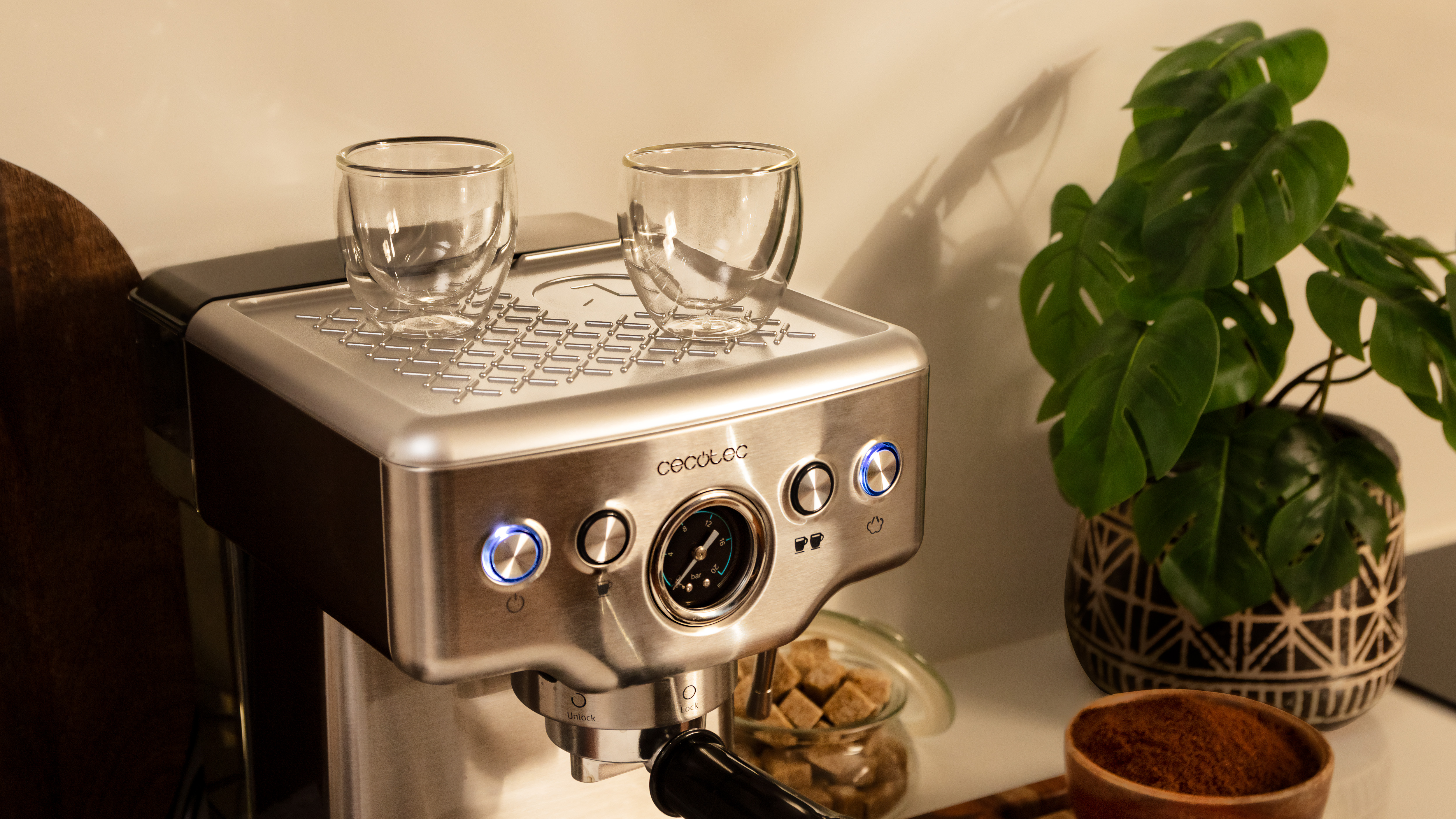 Máquina de espresso de acero inoxidable con dos tazas de vidrio encima y una planta en el fondo.